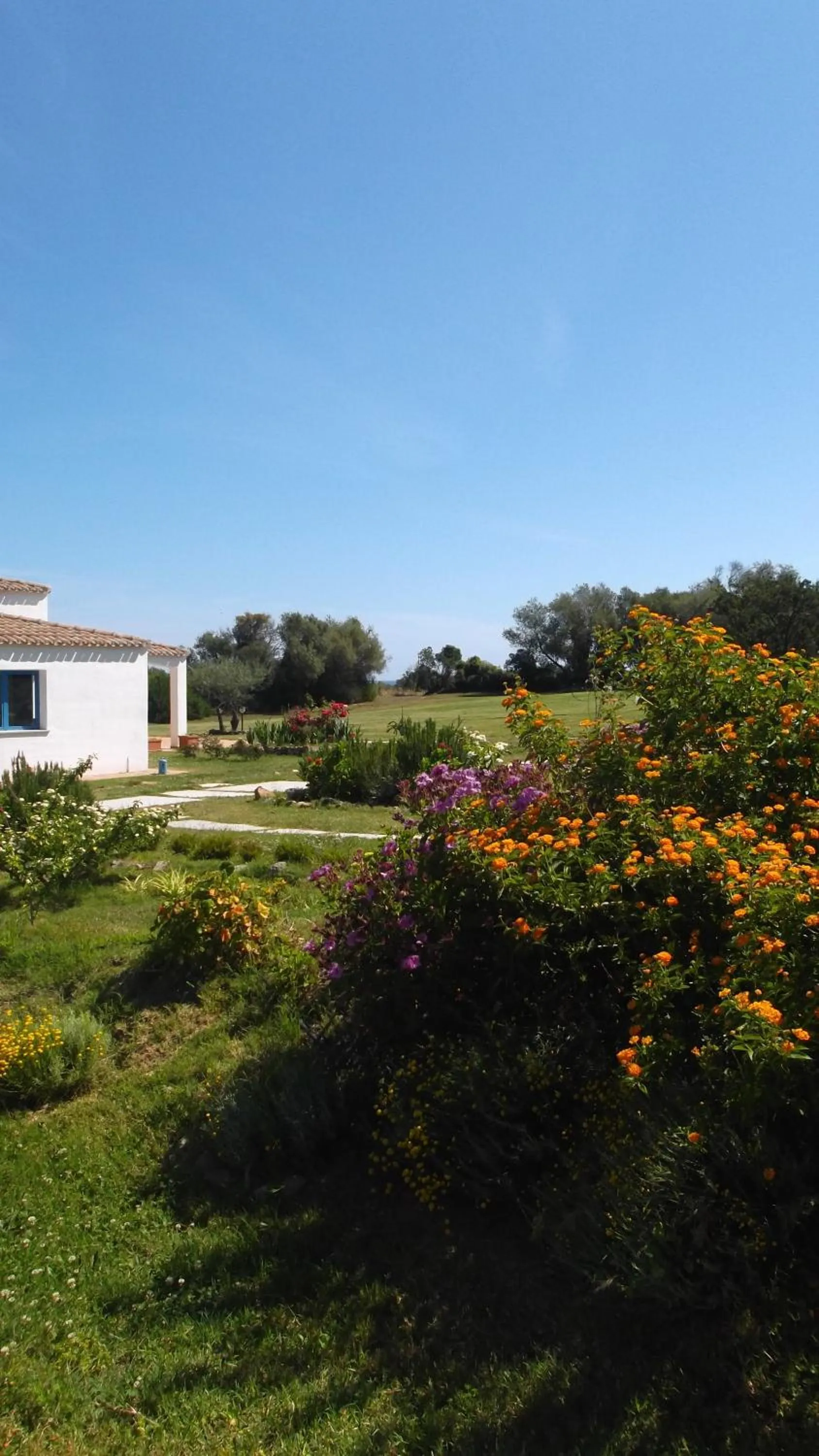 Facade/entrance in Hotel Baia Cea