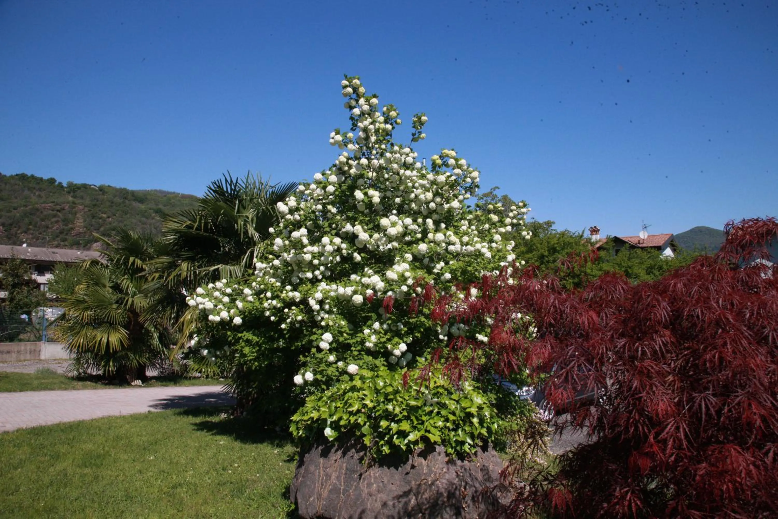 Spring in Hotel Il Canneto