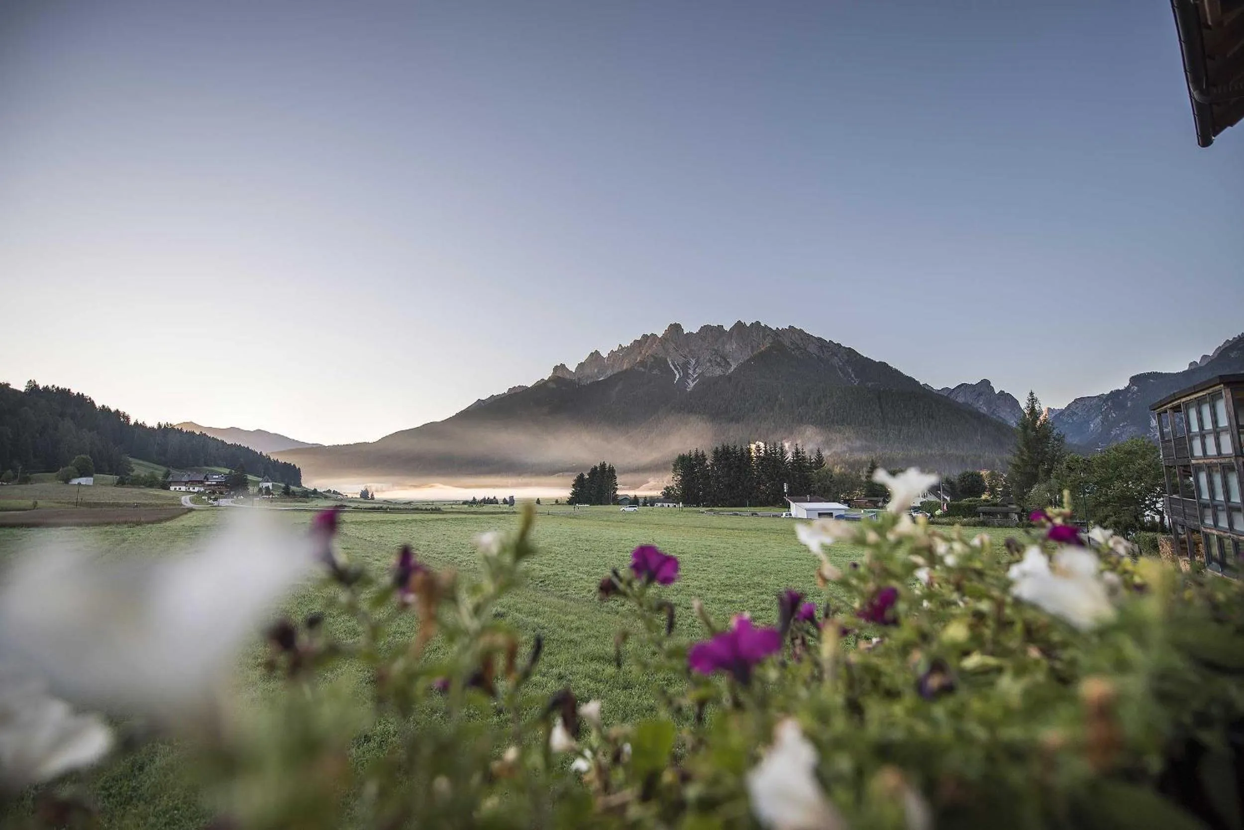 Natural landscape in Hotel Cristallo