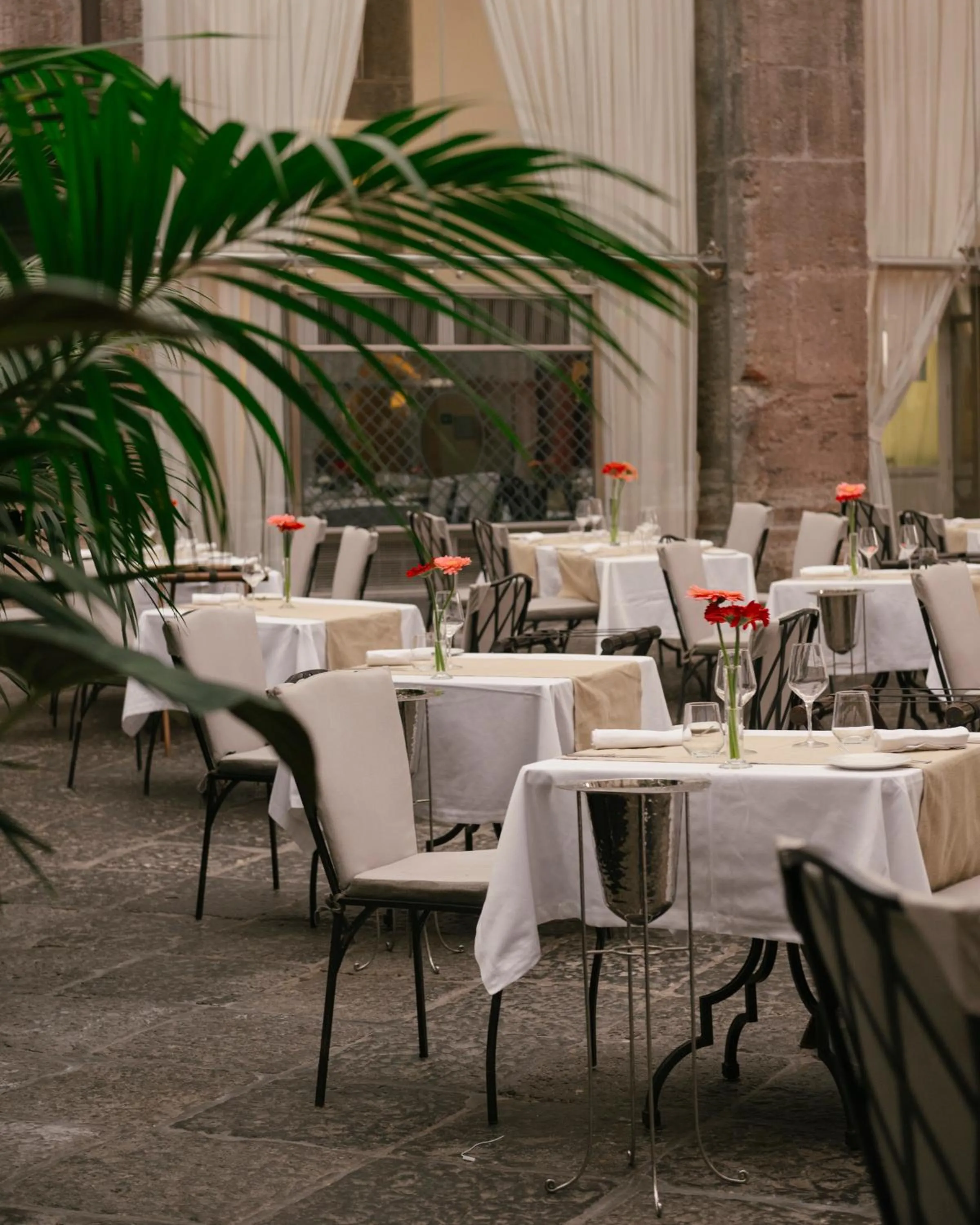 Restaurant/places to eat in Palazzo Caracciolo Naples