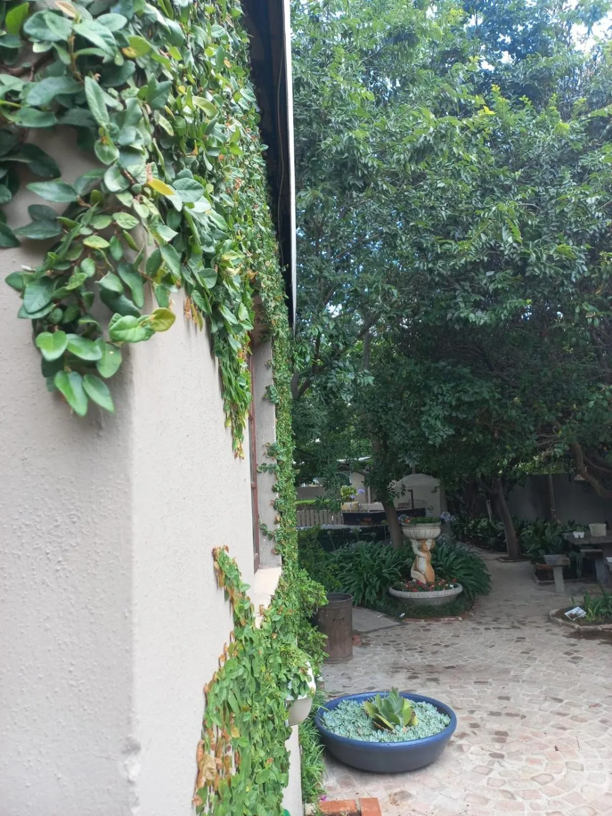 Spring in J'Cups Guest House