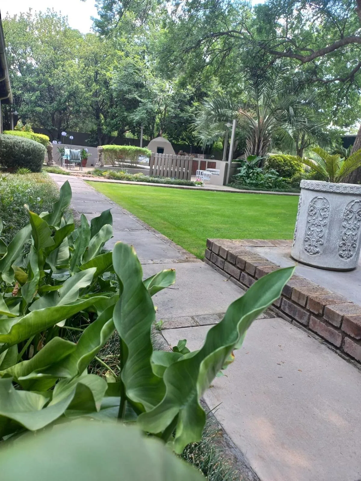 Garden in J'Cups Guest House