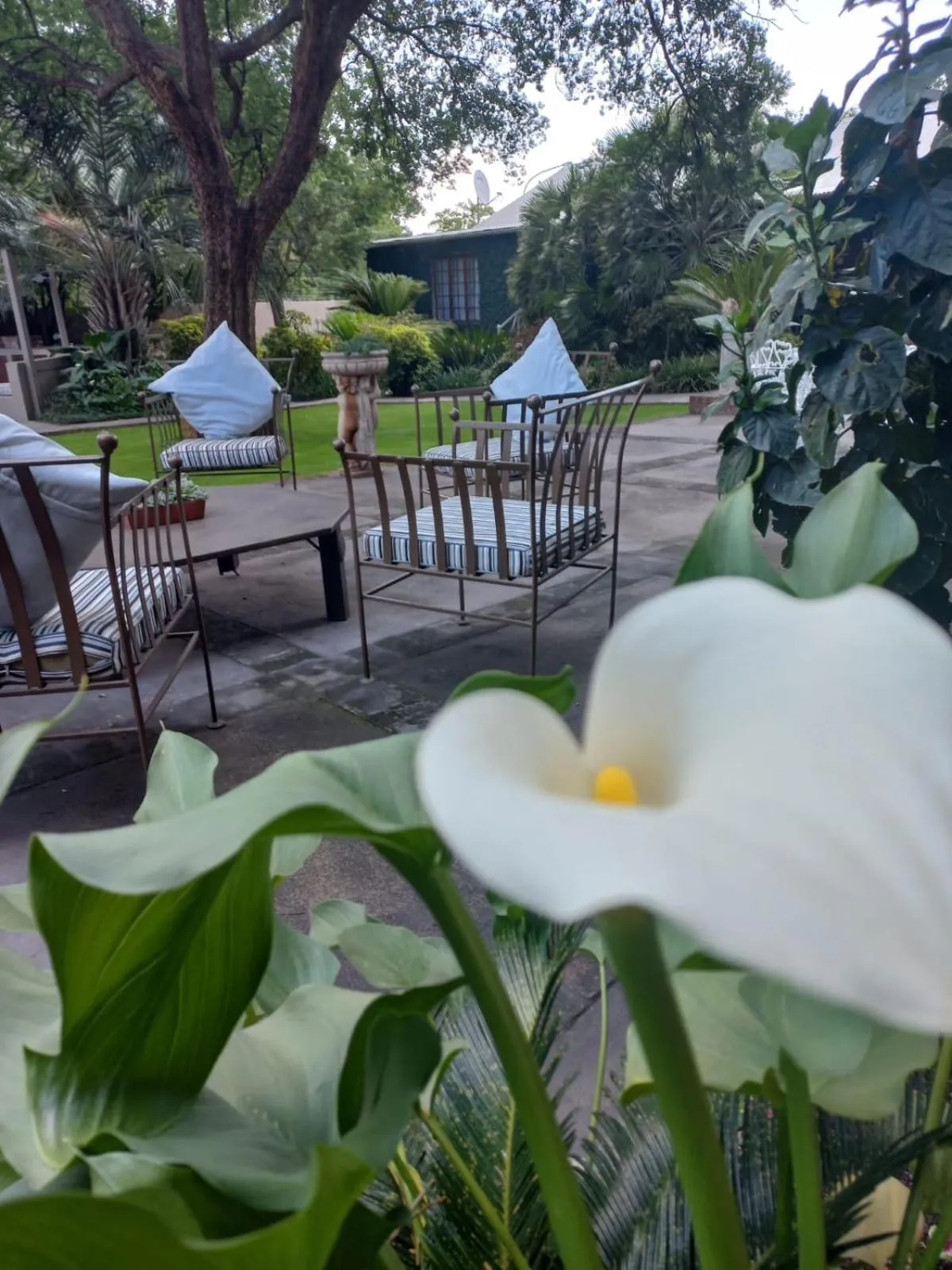 Patio in J'Cups Guest House