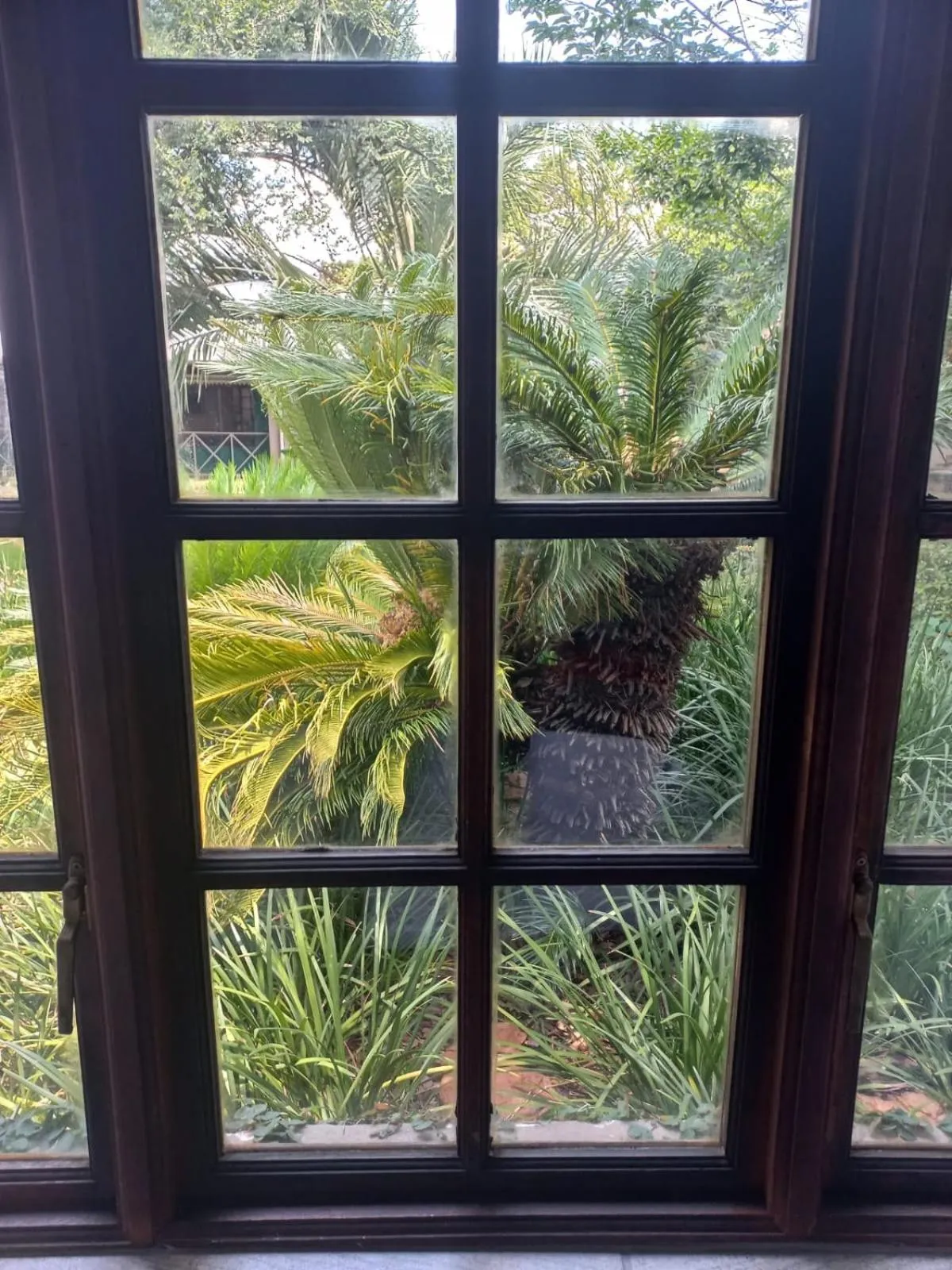 Garden view in J'Cups Guest House