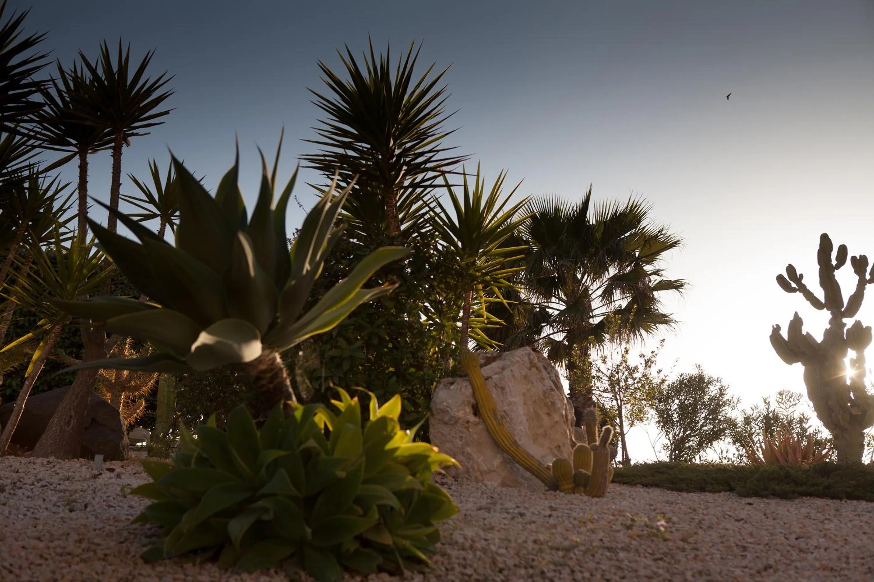 Garden in Hotel Raffael PHG