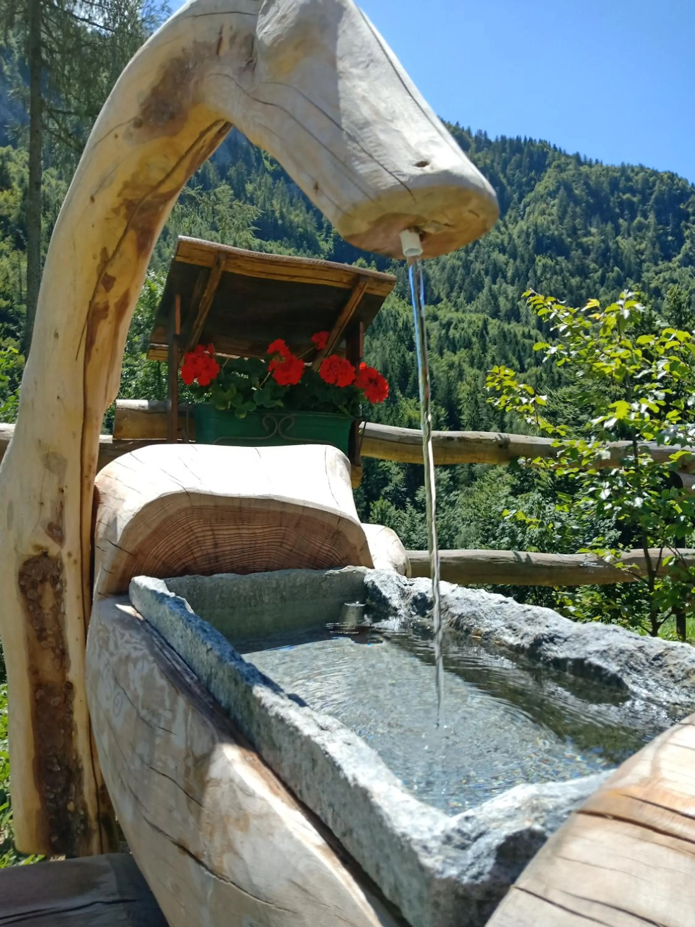 Garden in Orobie Alps Resort