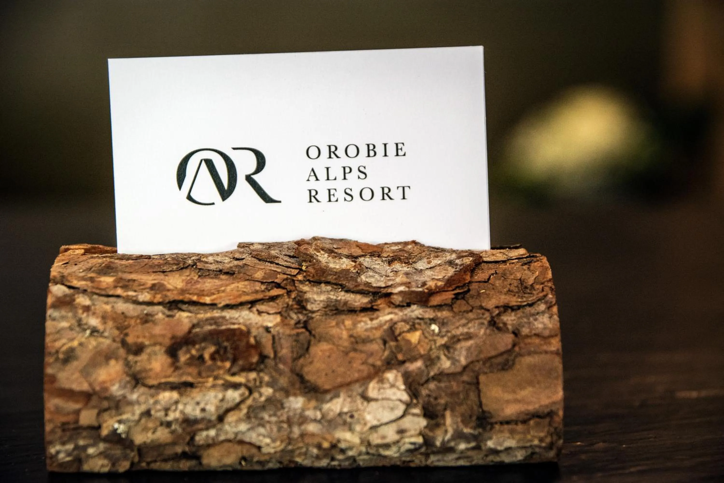 Property logo or sign in Orobie Alps Resort