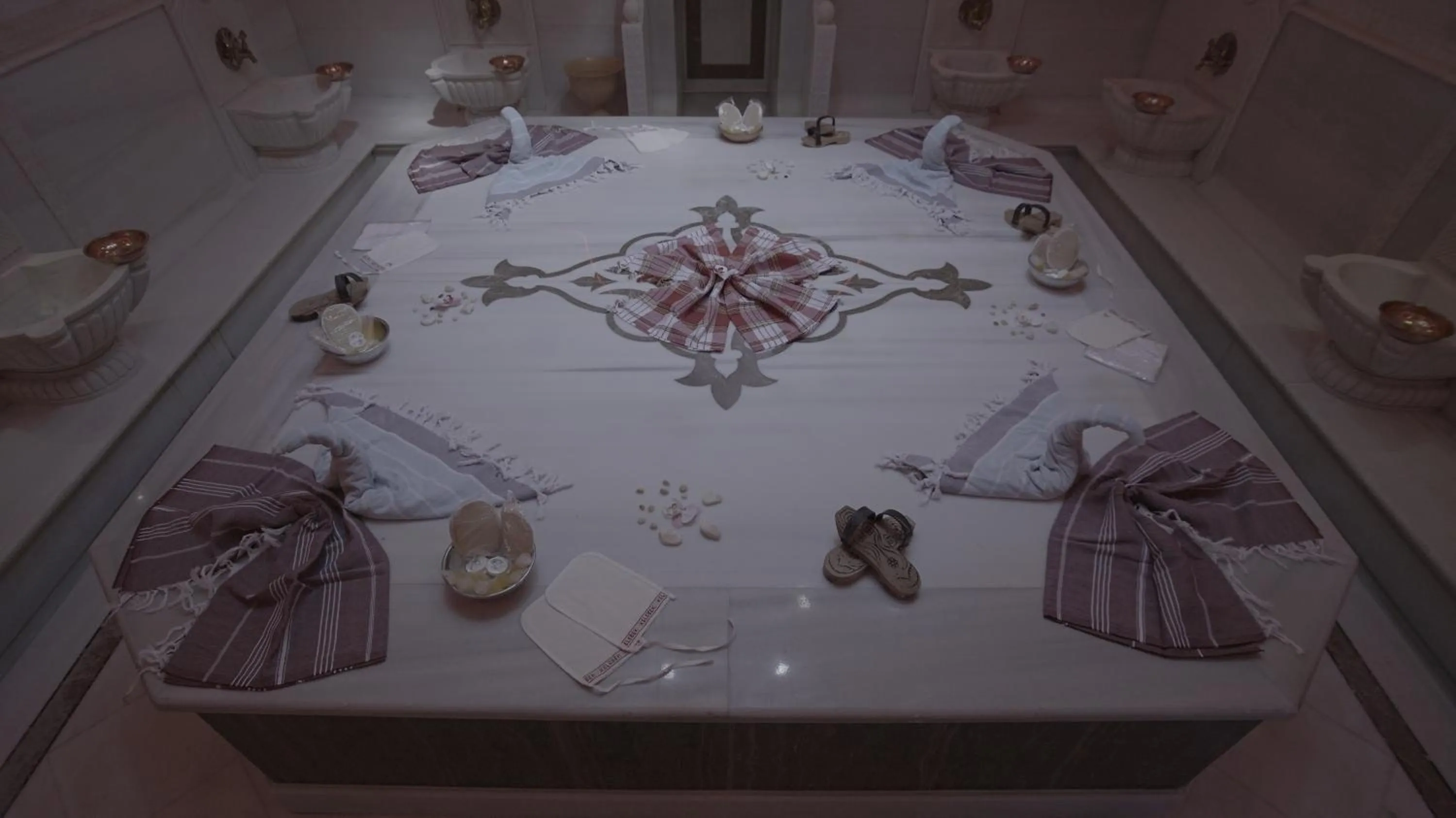 Area and facilities in Wyndham Istanbul Old City