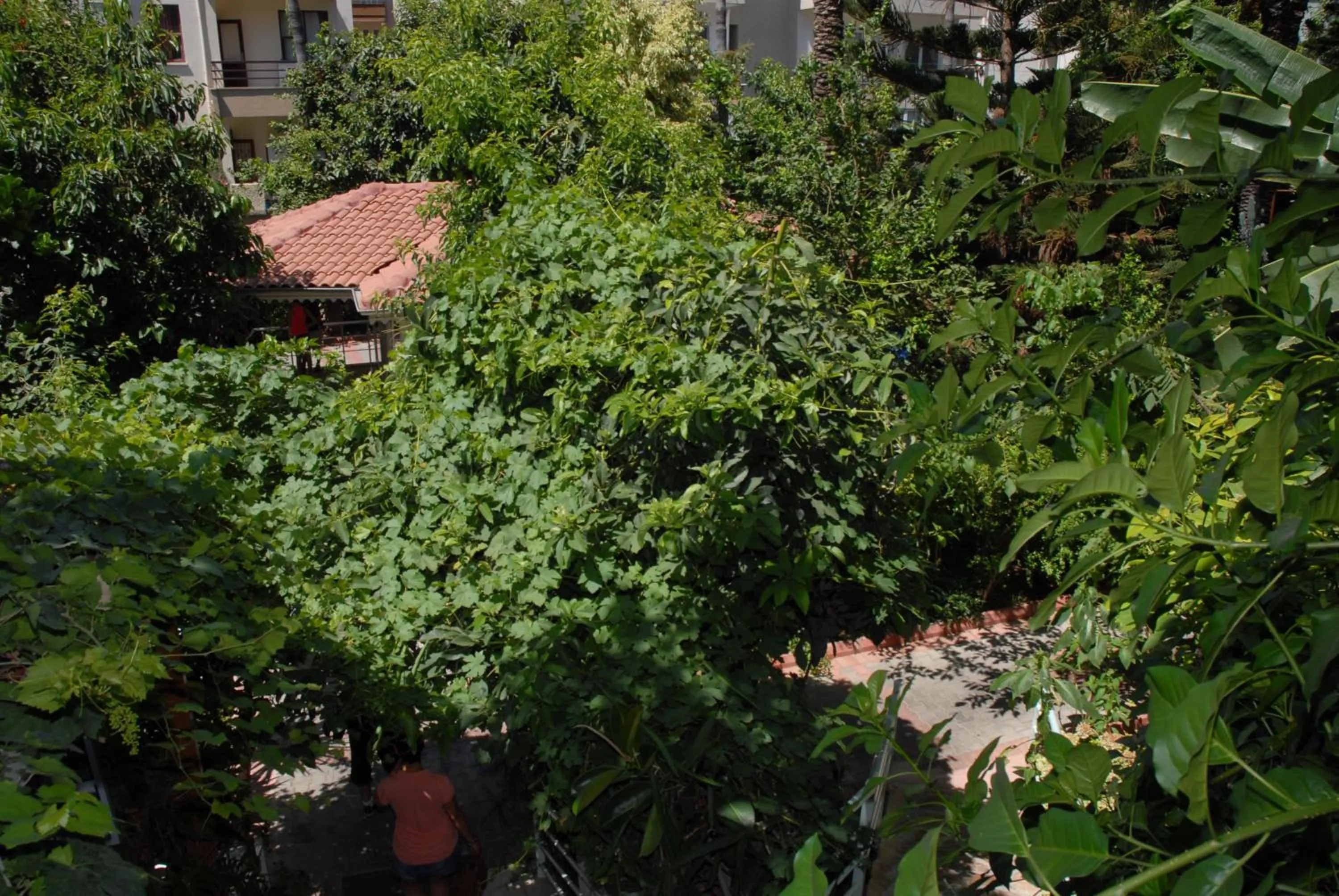 Natural landscape in Merhaba Hotel