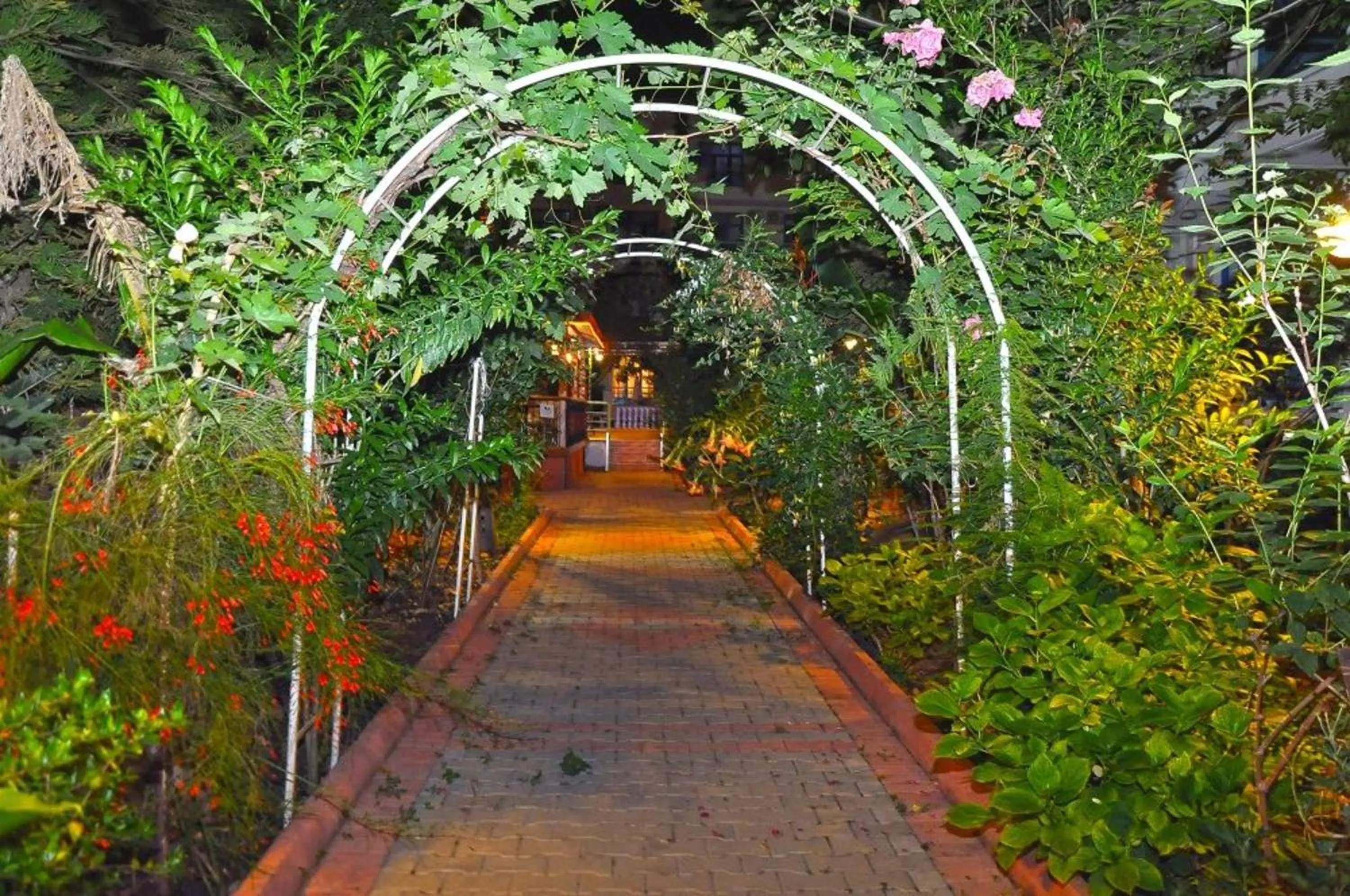 Garden in Merhaba Hotel