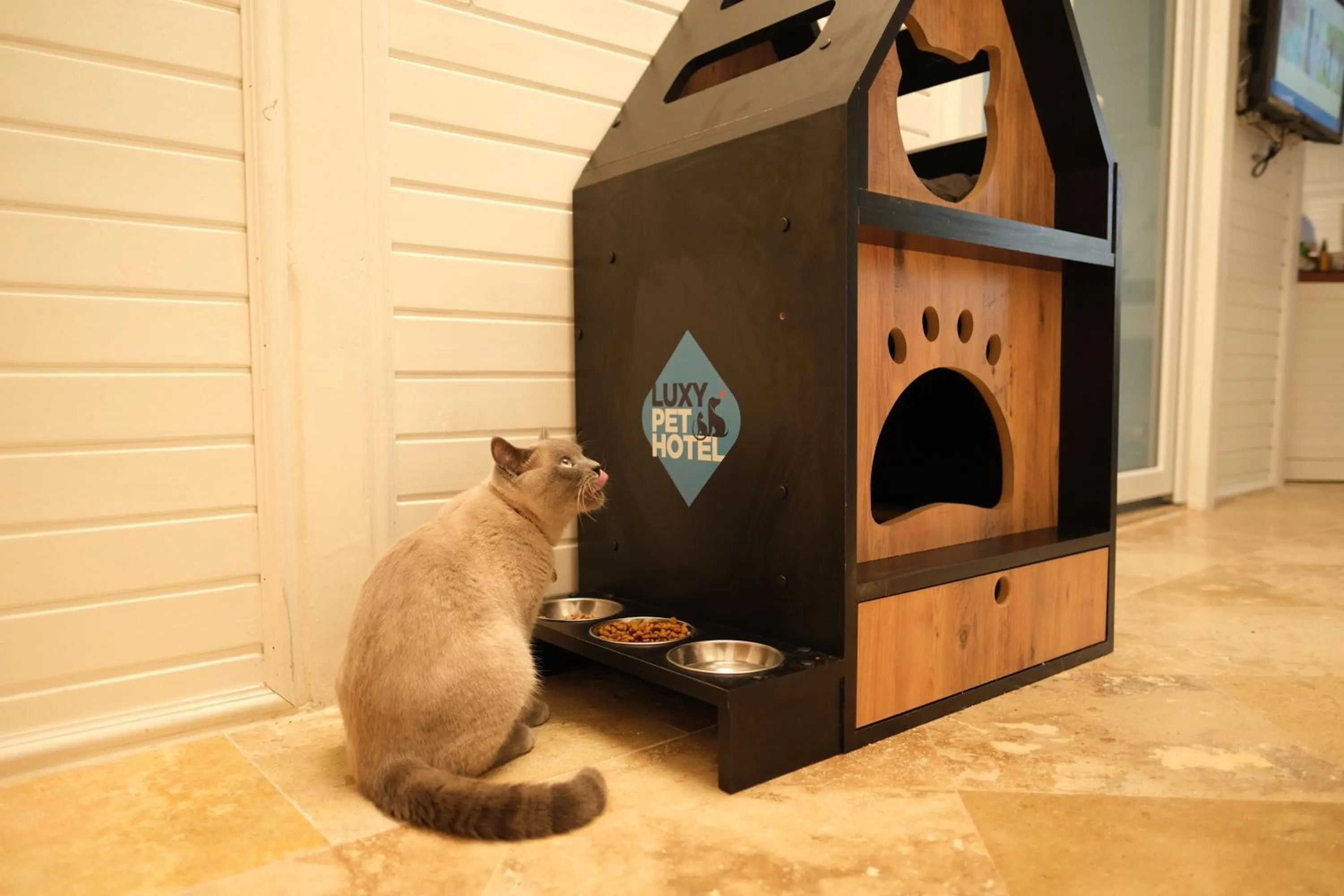 pet friendly in Nirvana Dolce Vita - Ultra All Inclusive