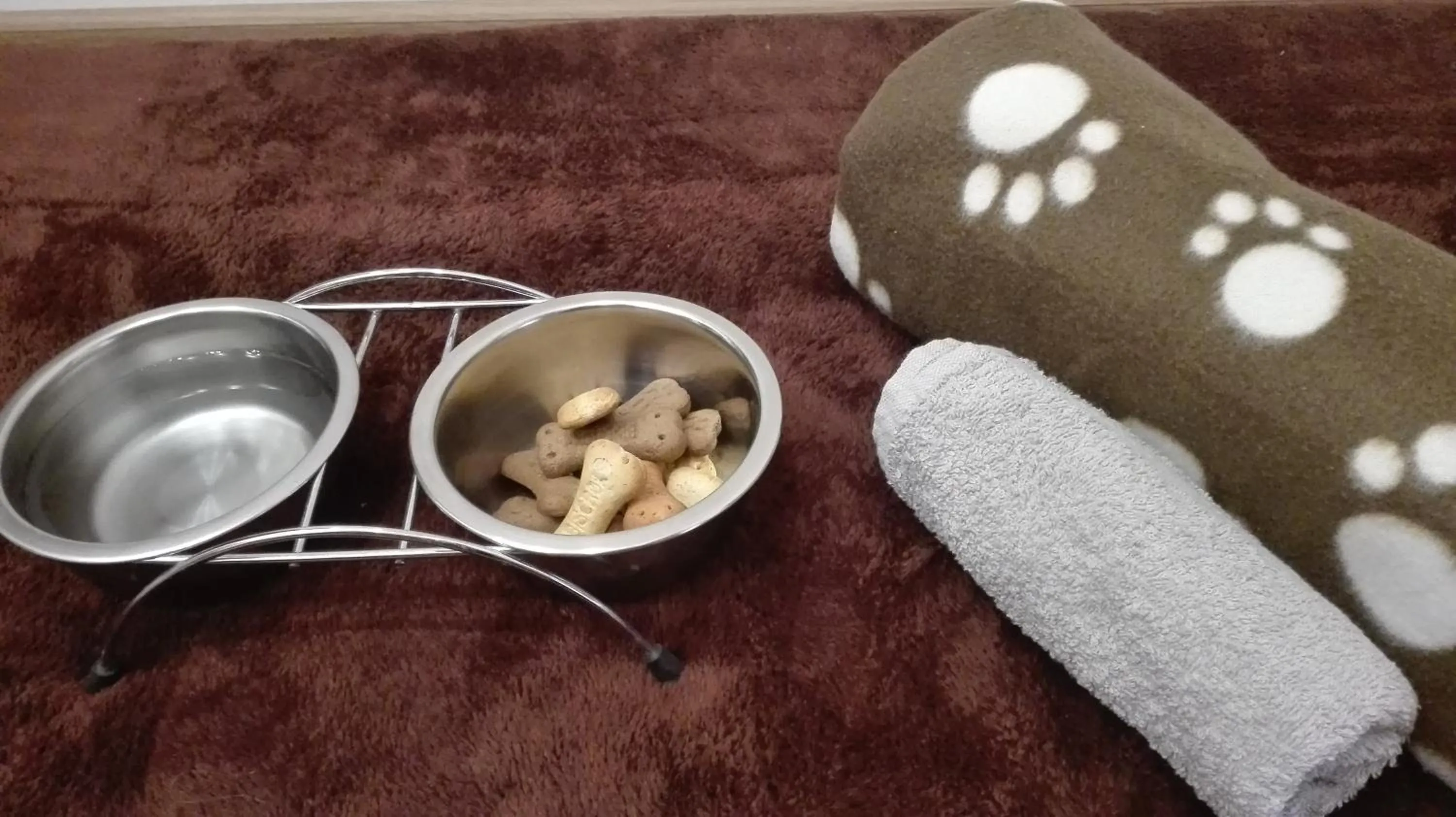 Pets in Hotel Bristol