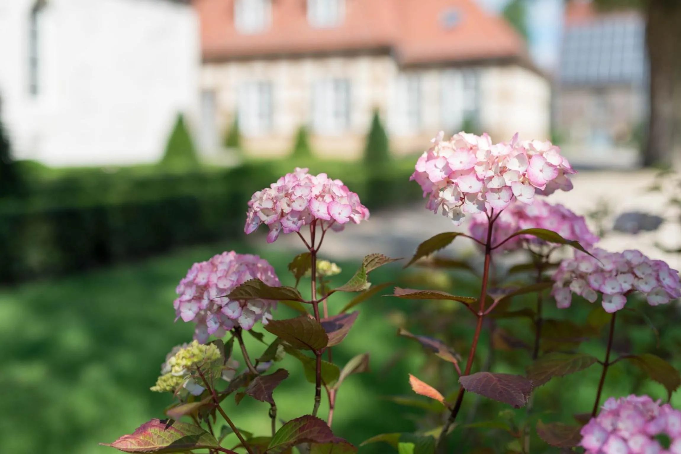 Day in Schloss Beuchow