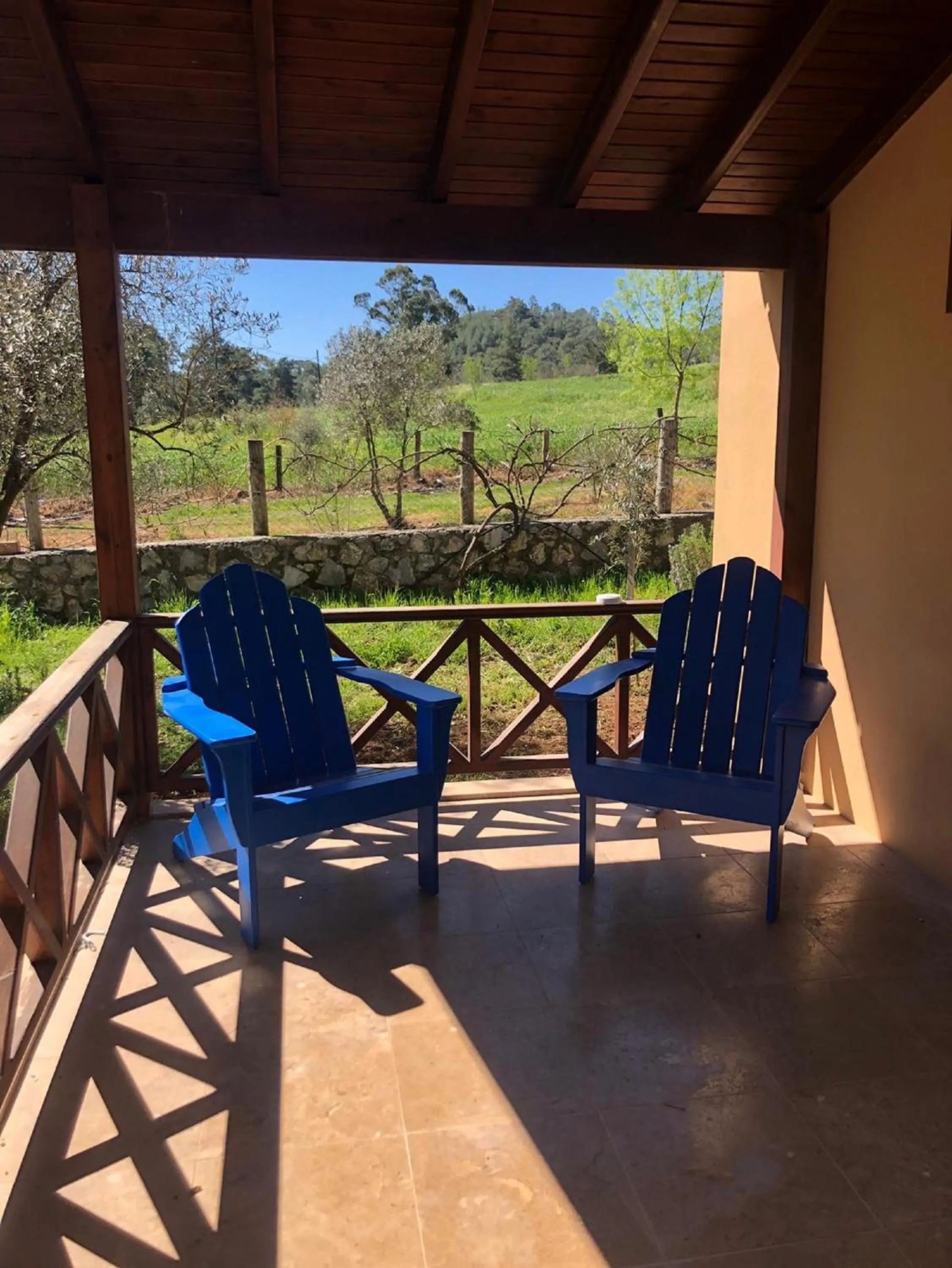 Balcony/Terrace in Dalya Life