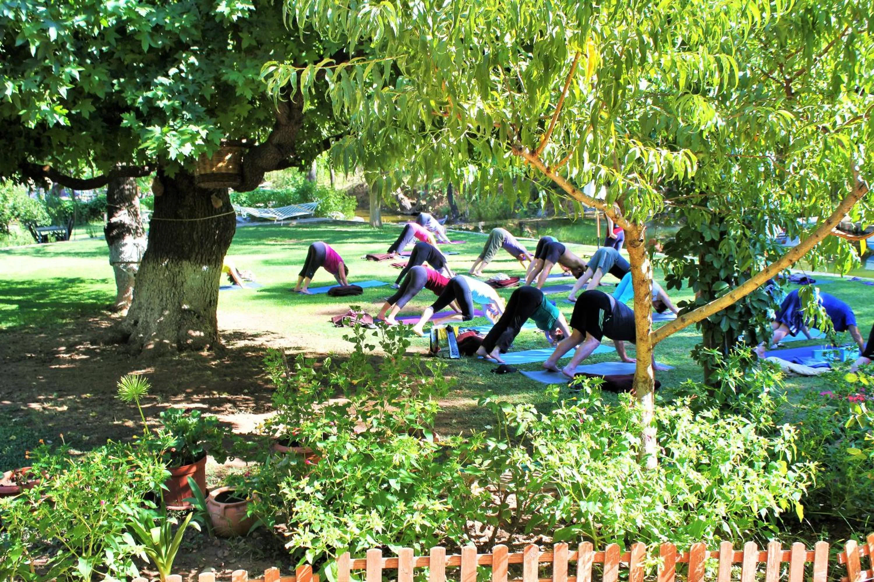 Fitness centre/facilities in Dalya Life