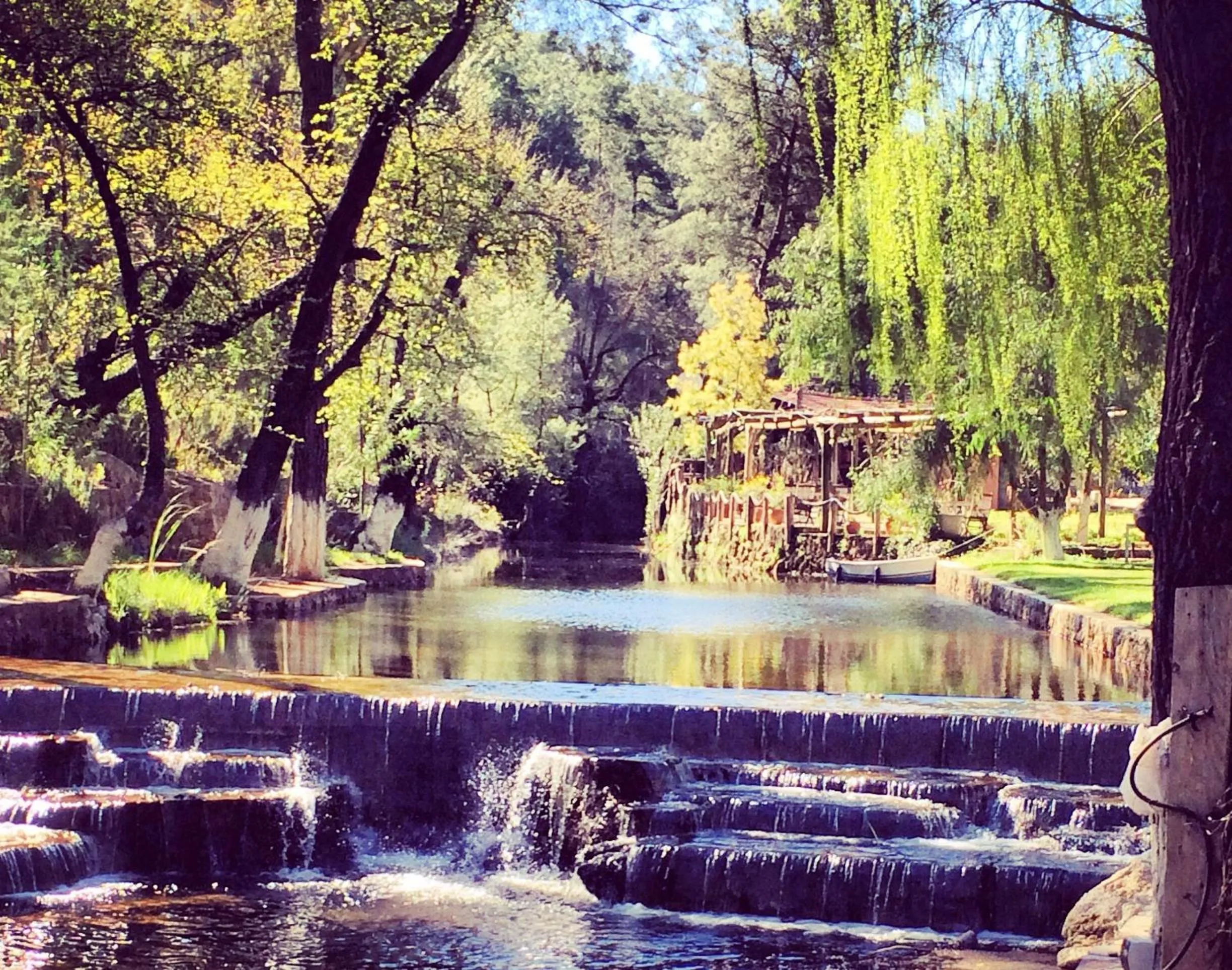 Swimming pool in Dalya Life