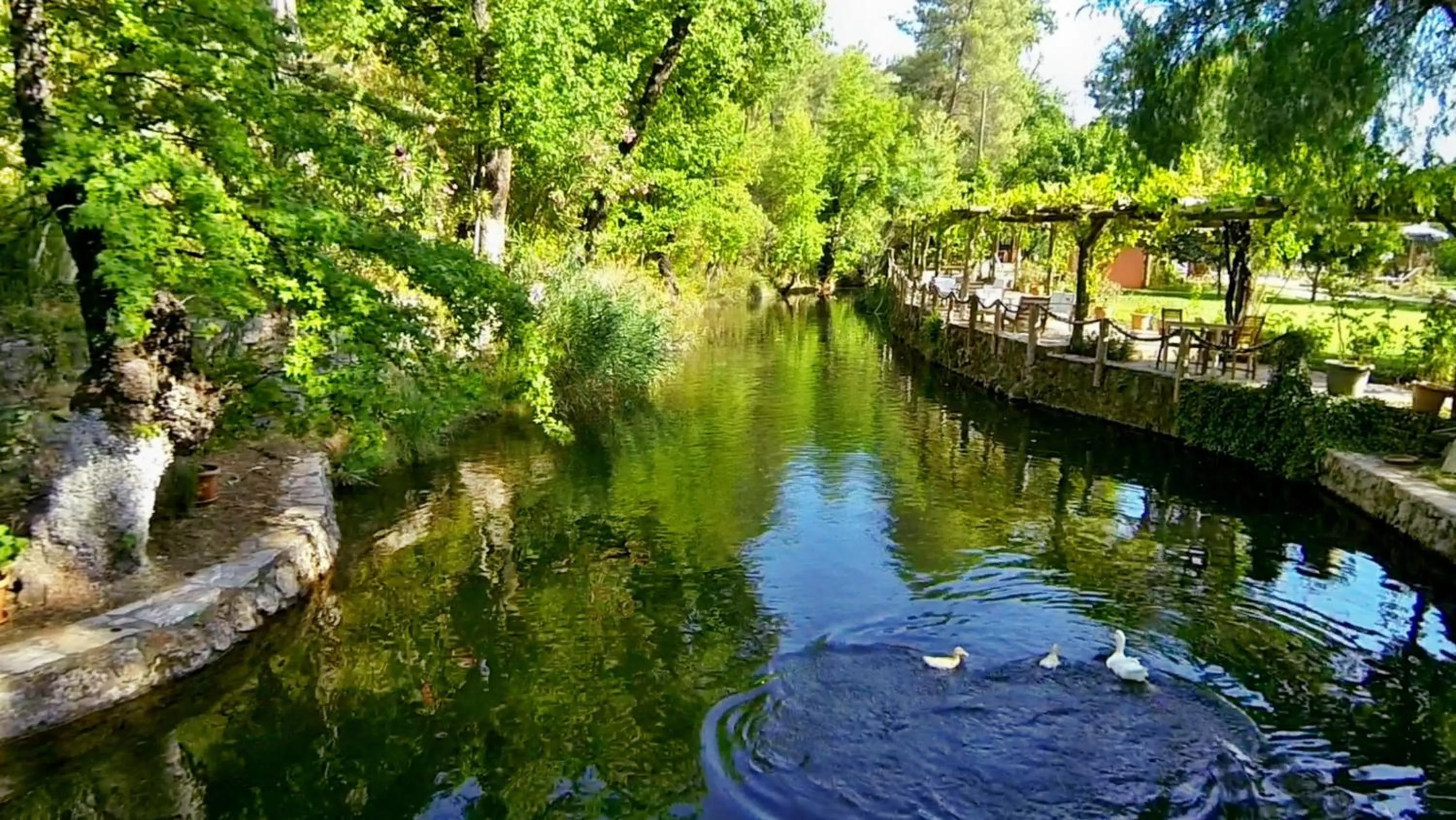 Bird's eye view in Dalya Life