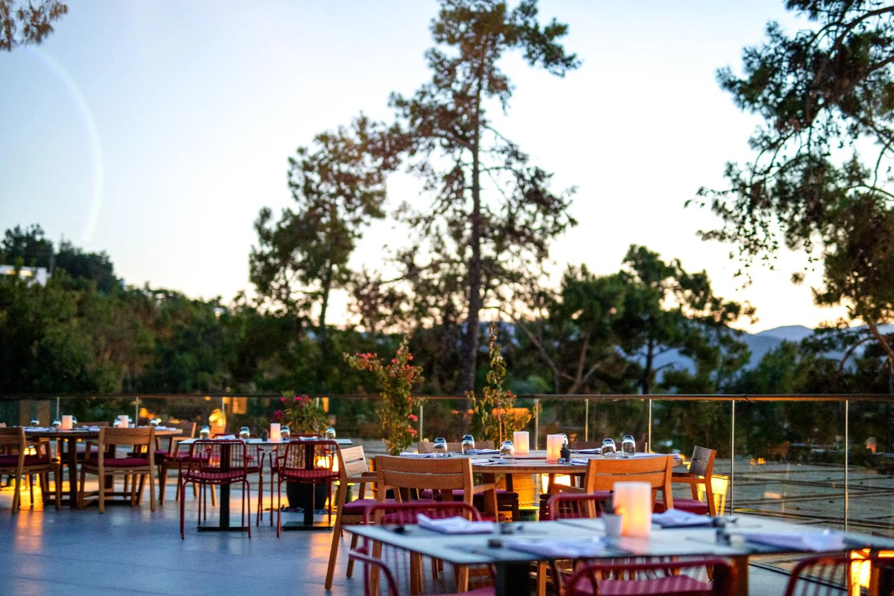 Restaurant/places to eat in Rixos Premium Bodrum