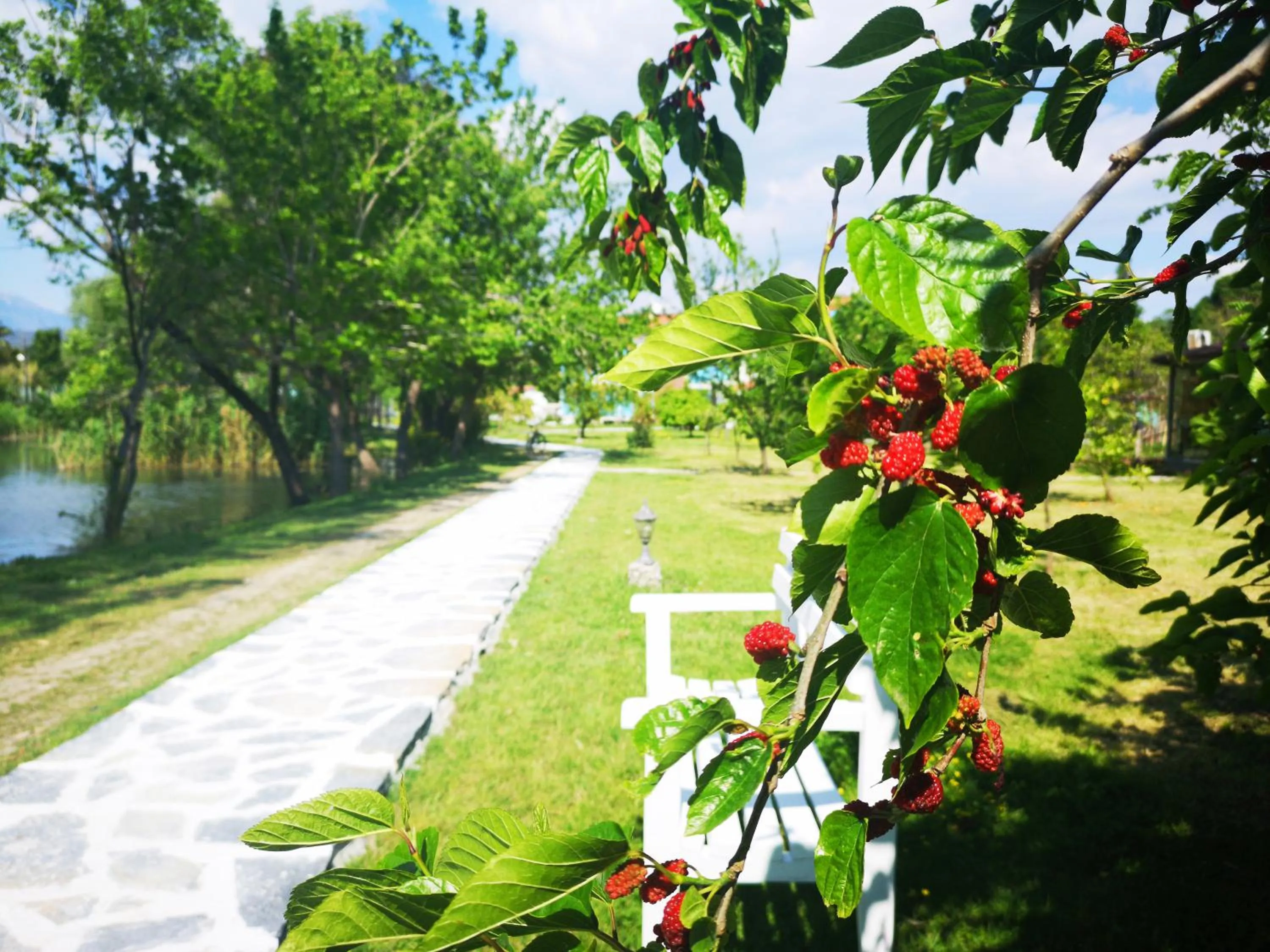 Garden in Yonca Lodge
