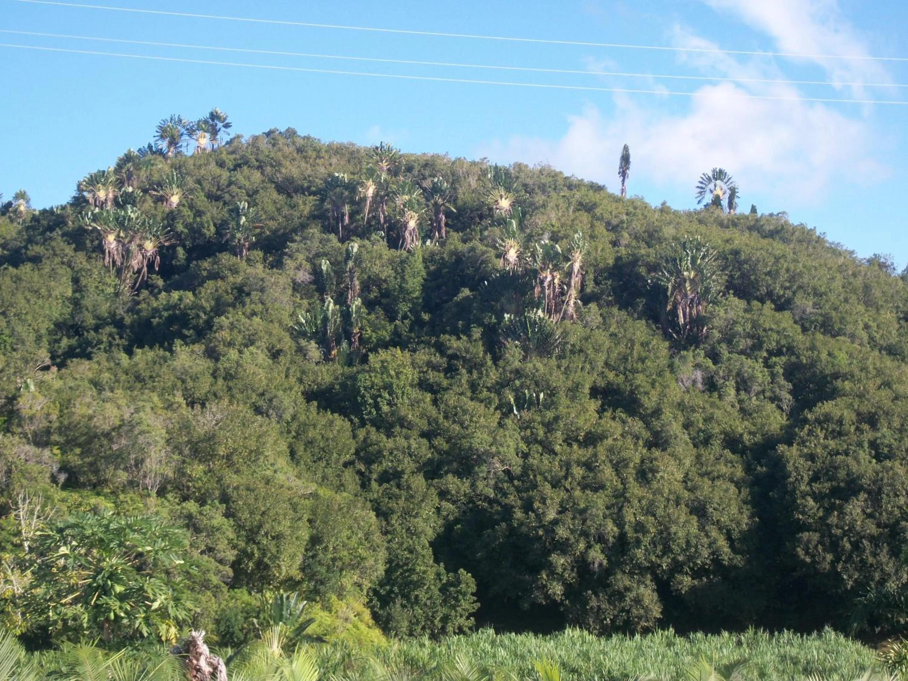 Off site in LE RUBINJO 2