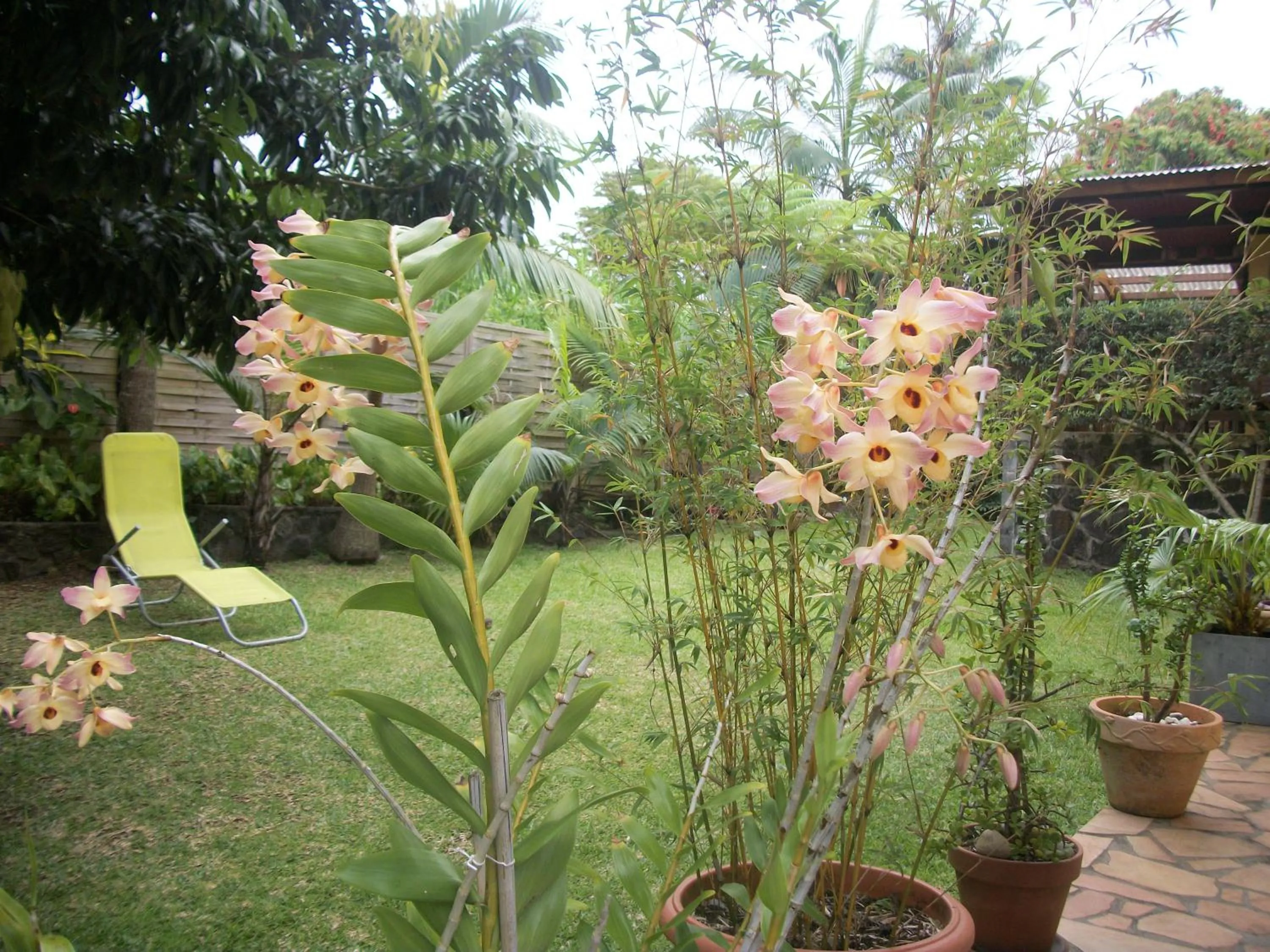 Garden in LE RUBINJO 2