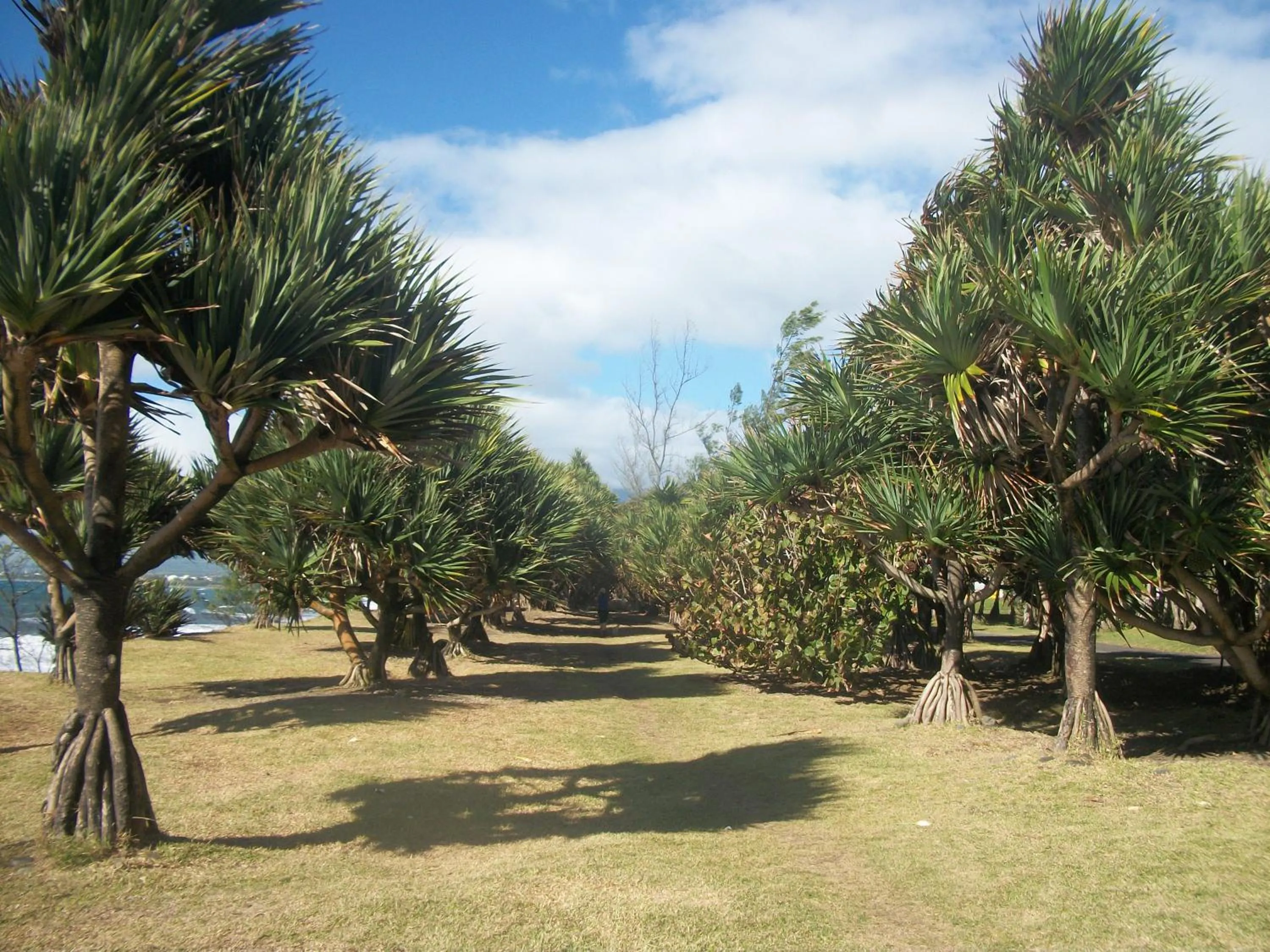 Nearby landmark in LE RUBINJO 2
