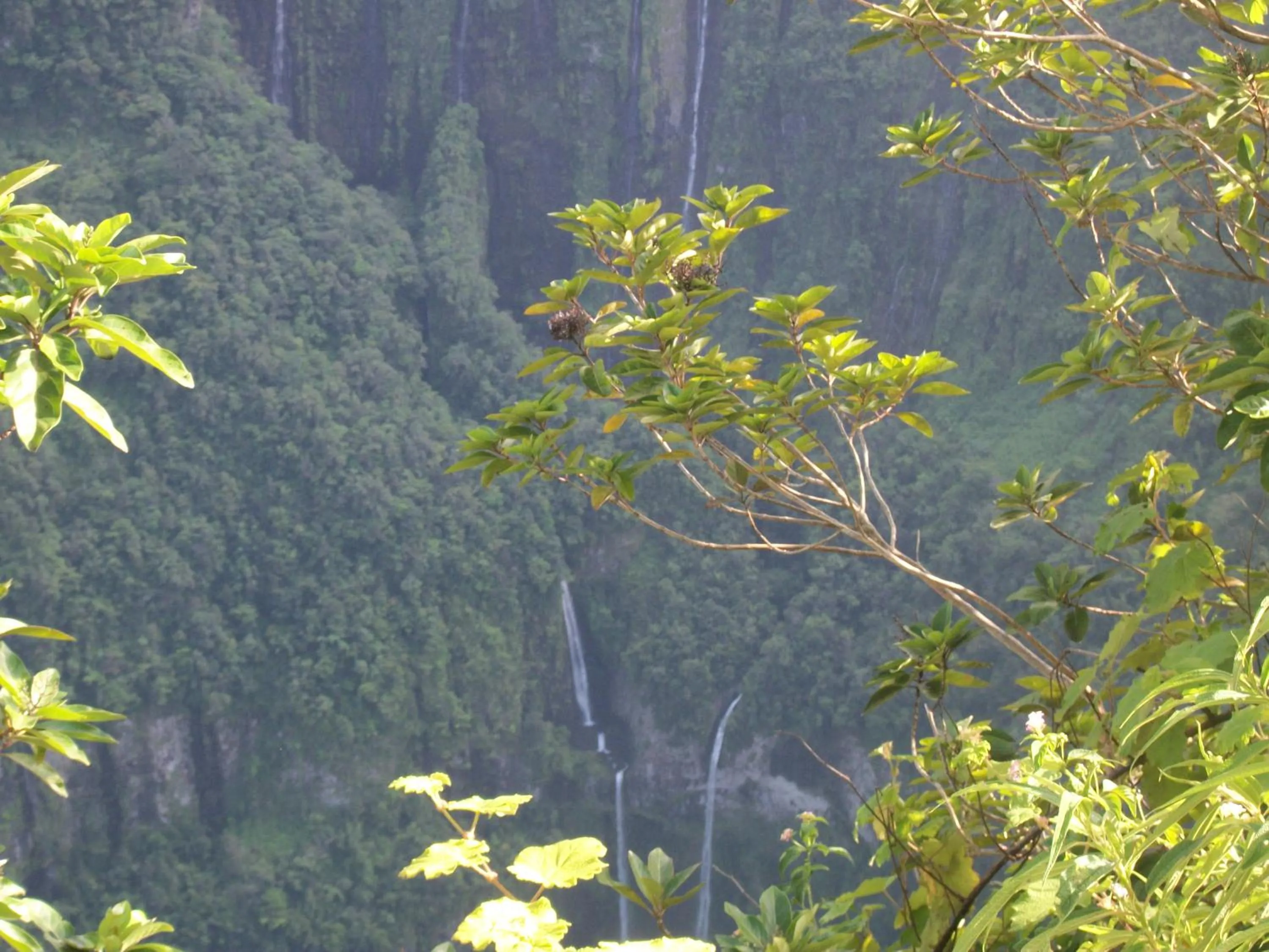 Off site in LE RUBINJO 2