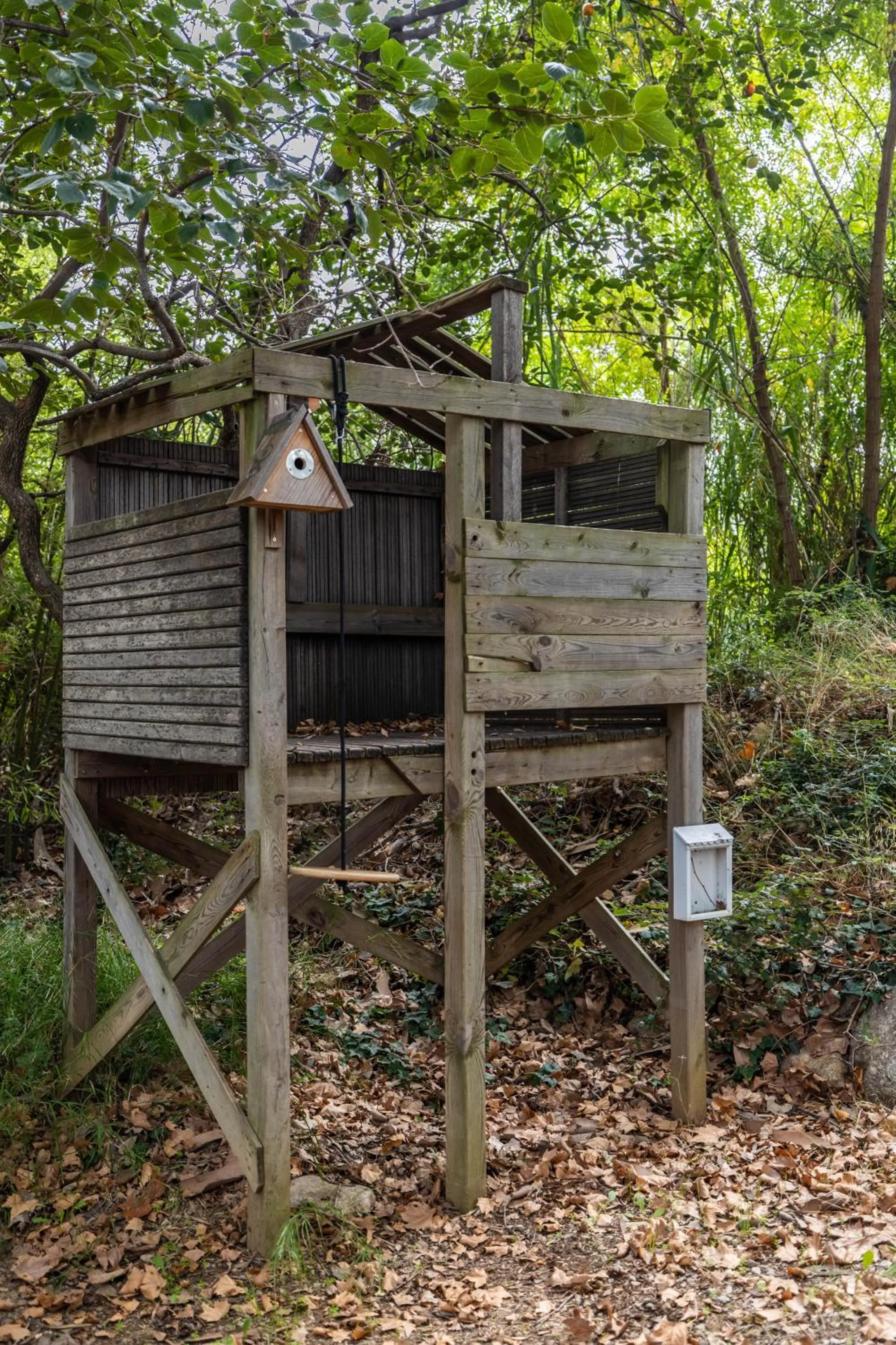 Garden in Chambres d hôtes du Castell de Blés