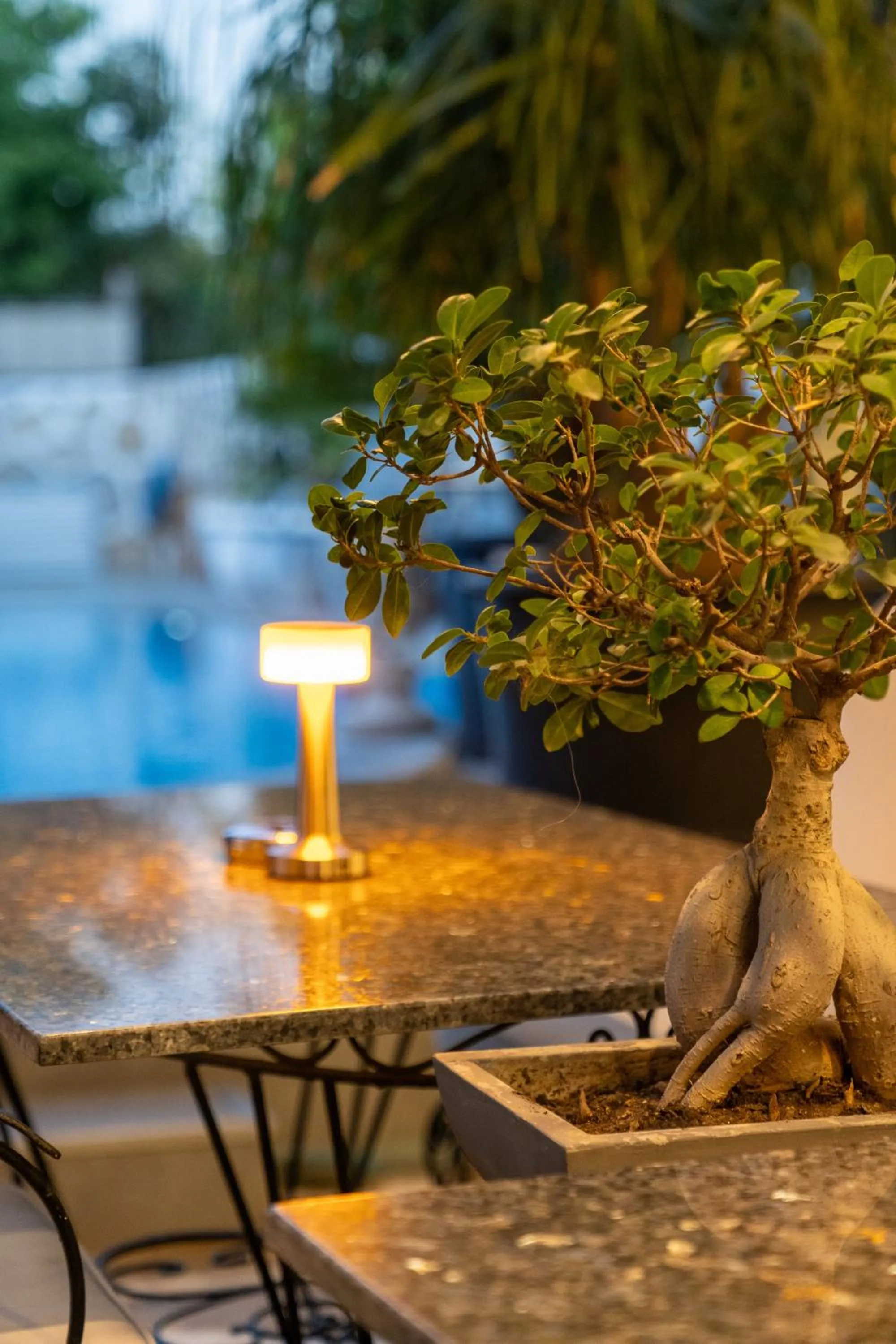 Garden in Artunc Hotel Bodrum