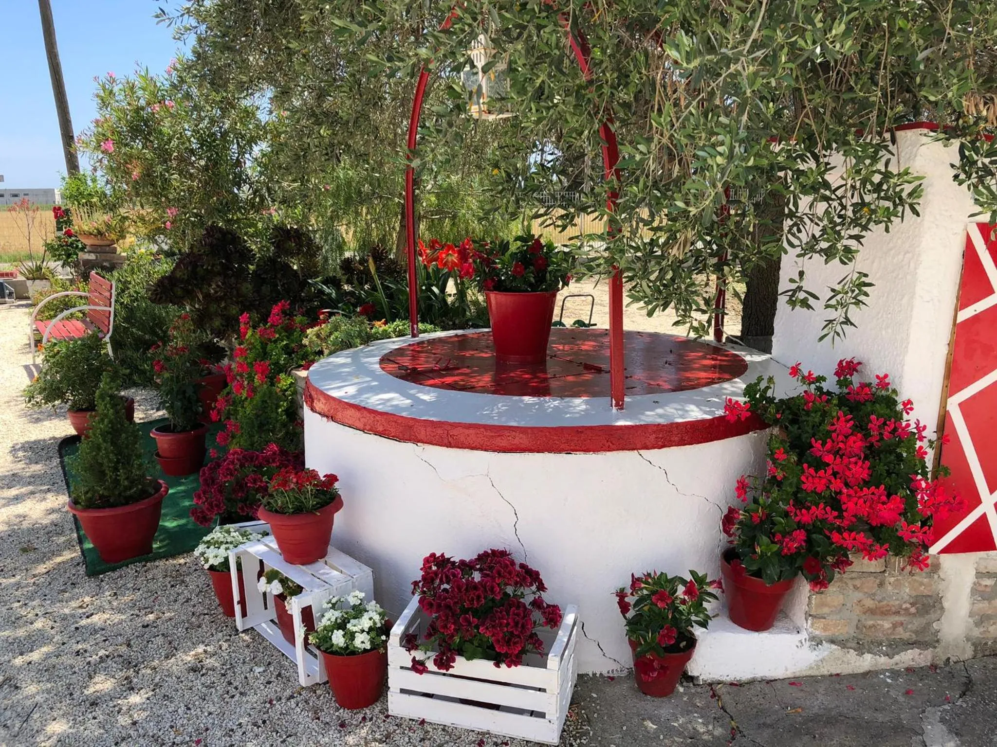 Spring in Villa Cenzina