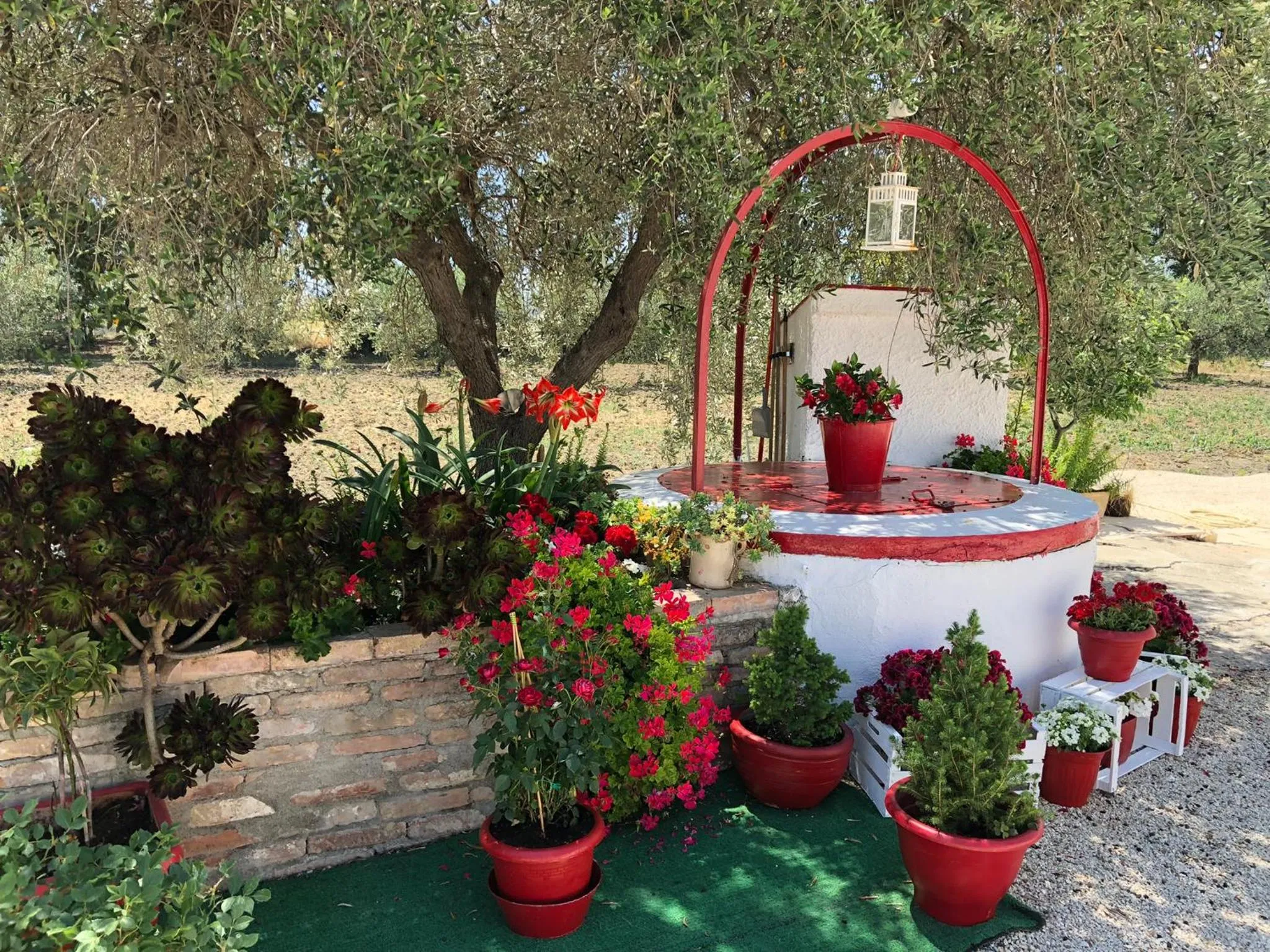 Spring in Villa Cenzina