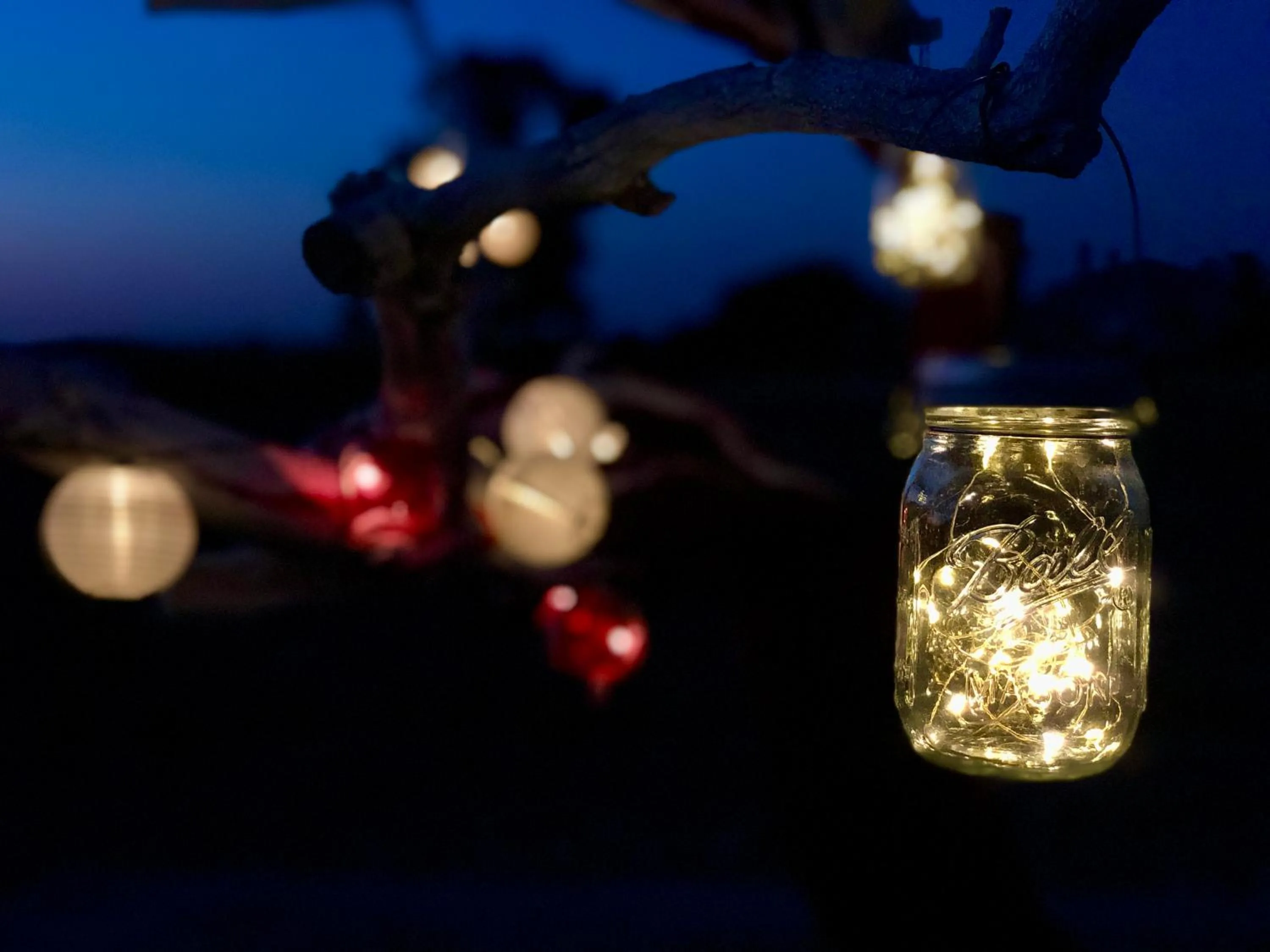 Night in Villa Cenzina