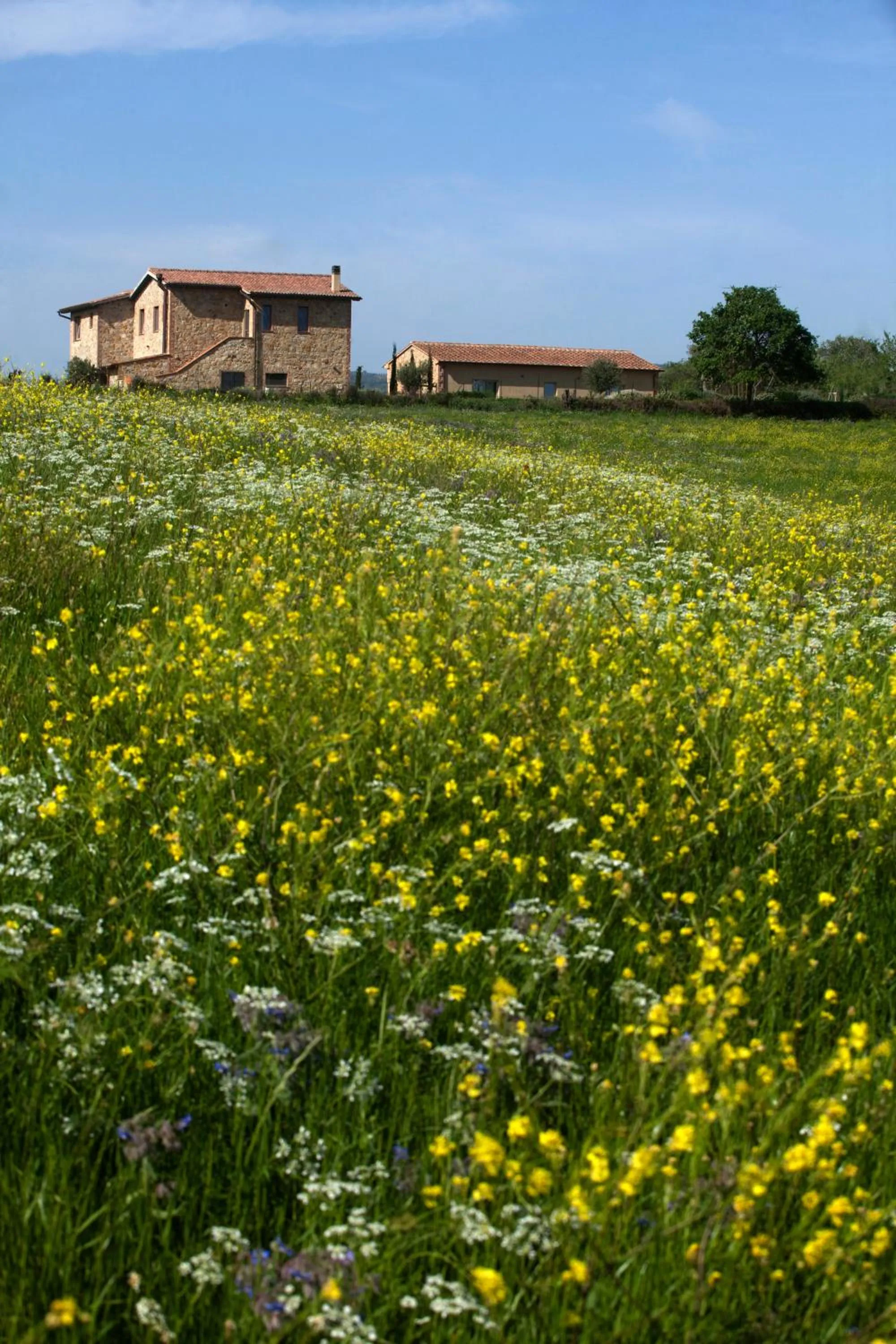 Property building in Casale Sterpeti