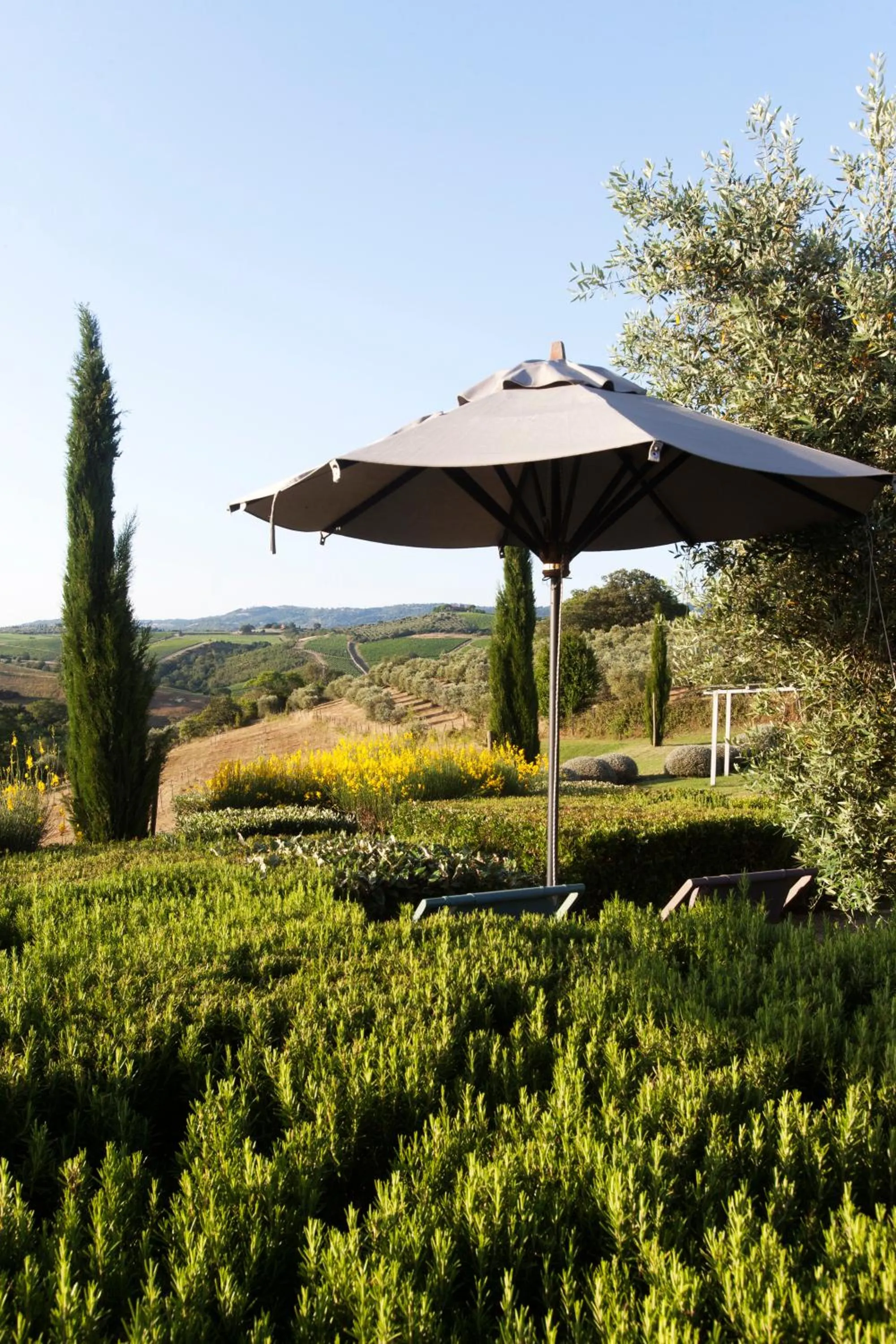 Garden in Casale Sterpeti