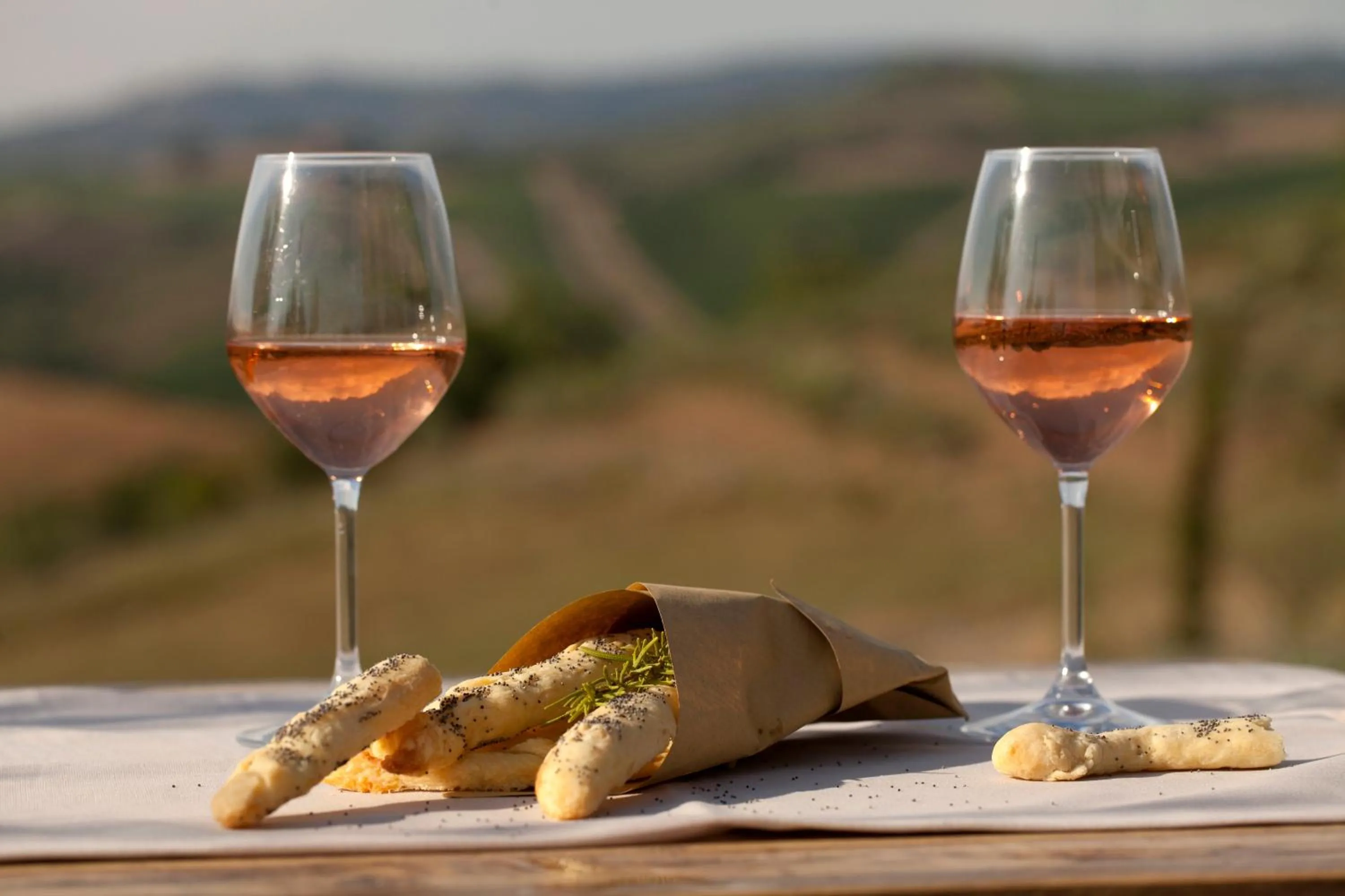 Alcoholic drinks in Casale Sterpeti