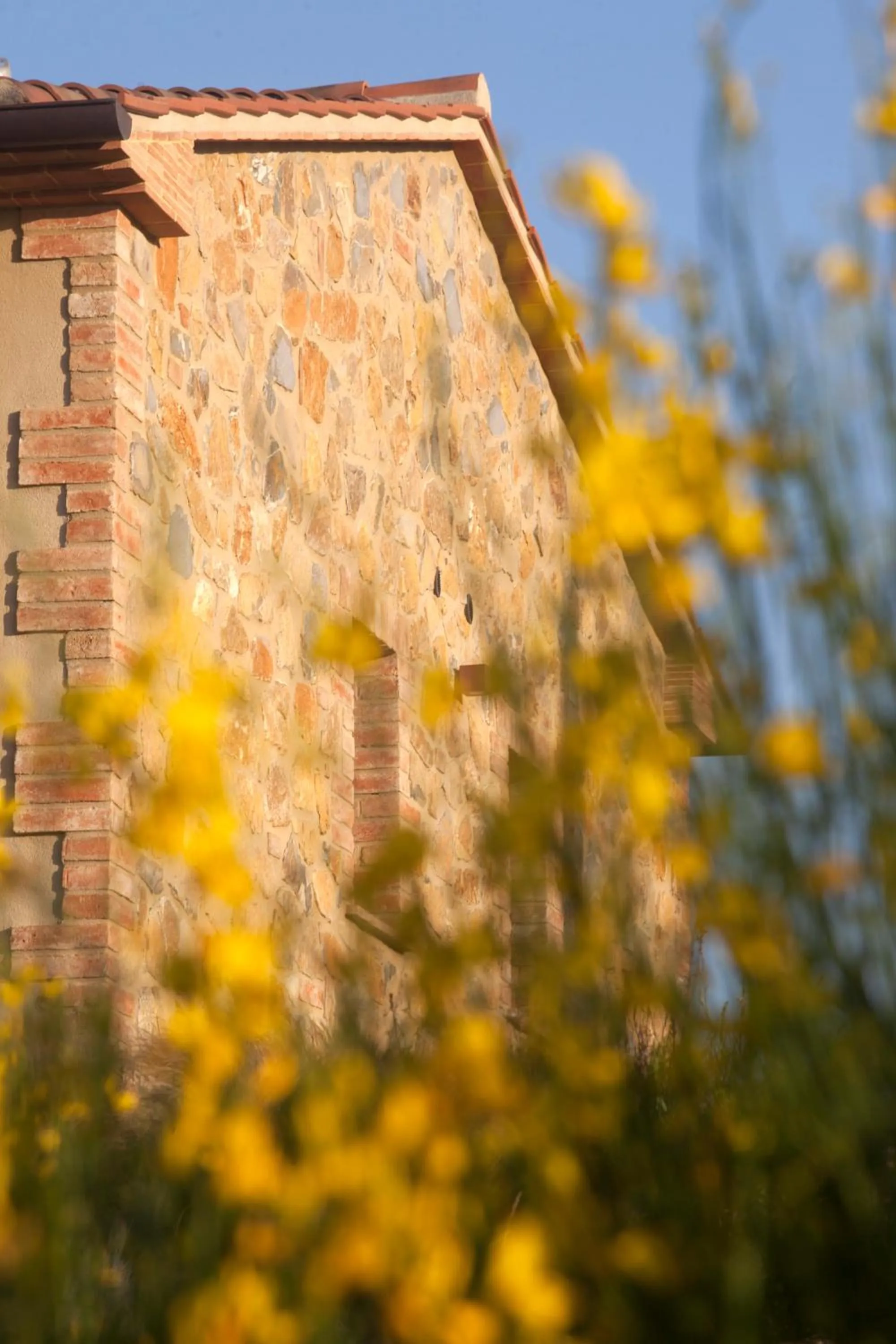 Property building in Casale Sterpeti