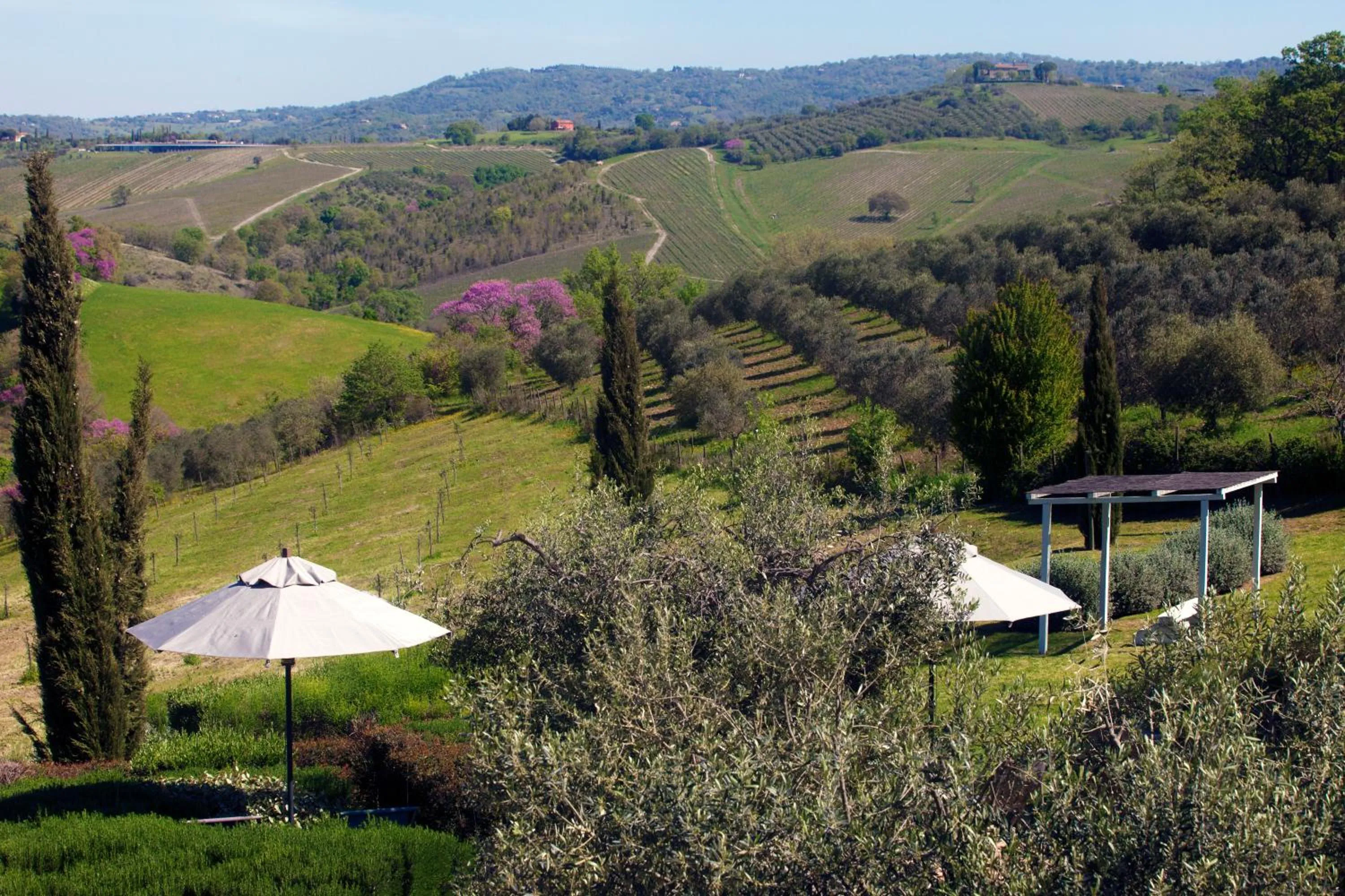View (from property/room) in Casale Sterpeti
