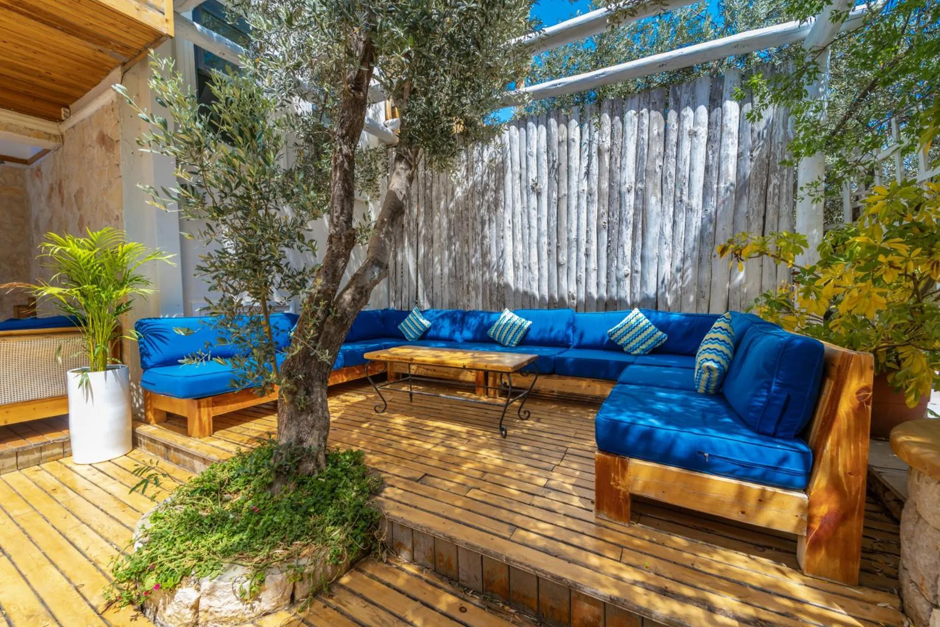 Garden in Elixir Hotel