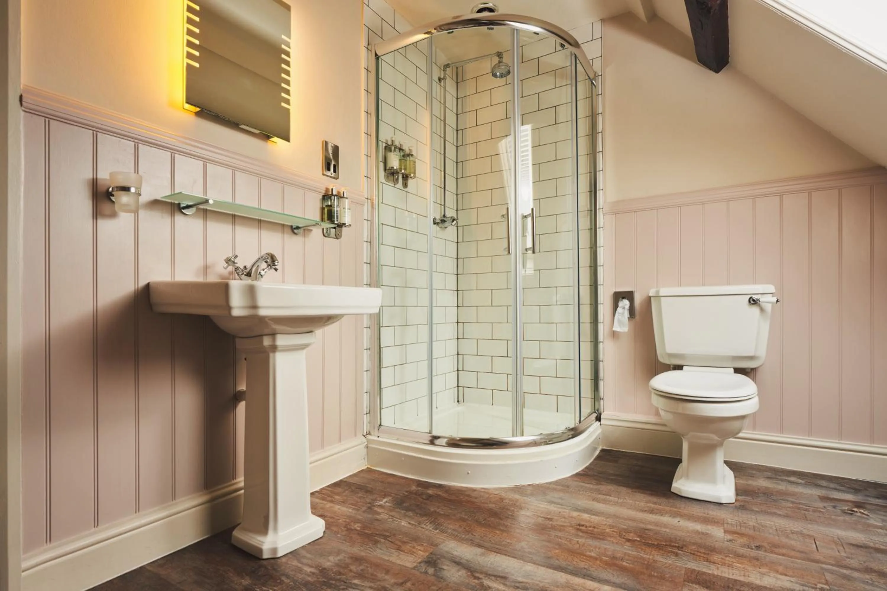 Shower in Rose and Crown Yealmpton