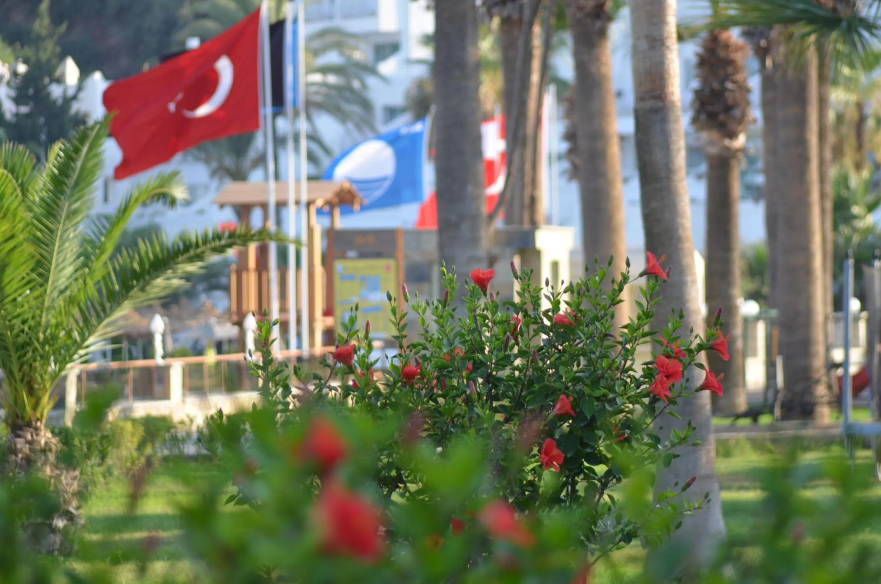 Logo/Certificate/Sign in Azka Hotel