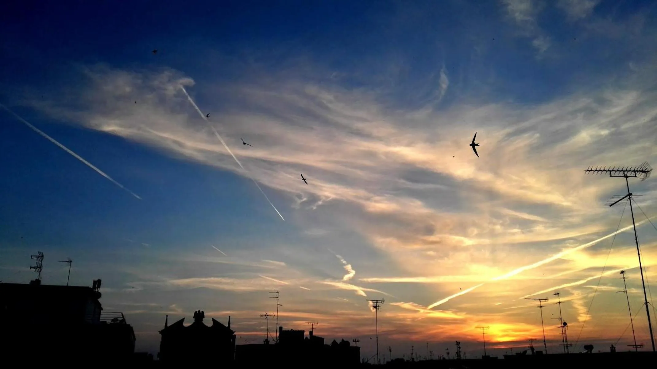 Balcony/Terrace in Attico Barocco
