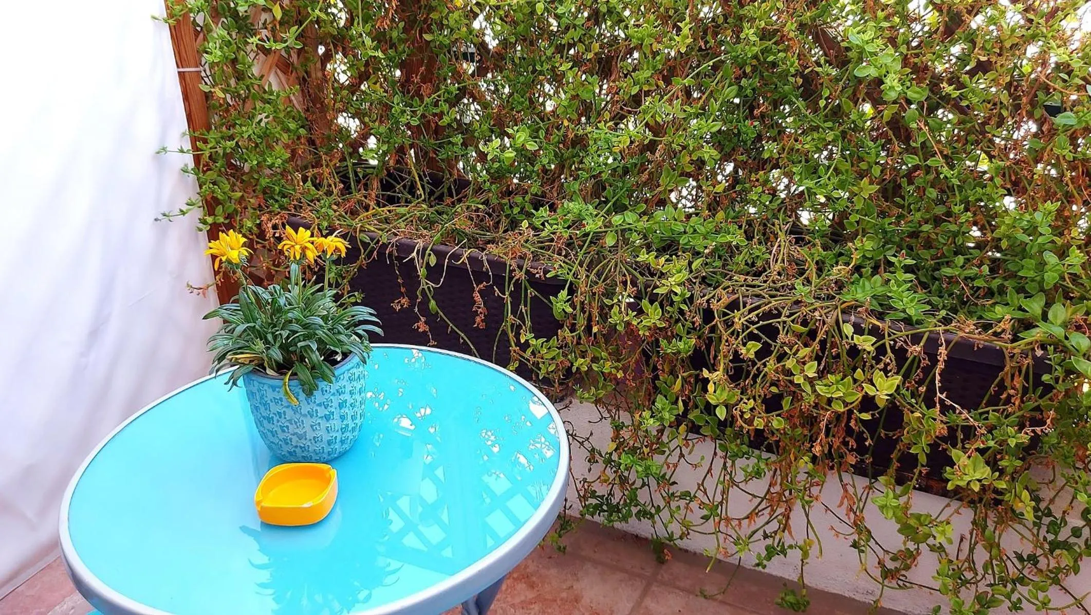 Balcony/Terrace in Attico Barocco