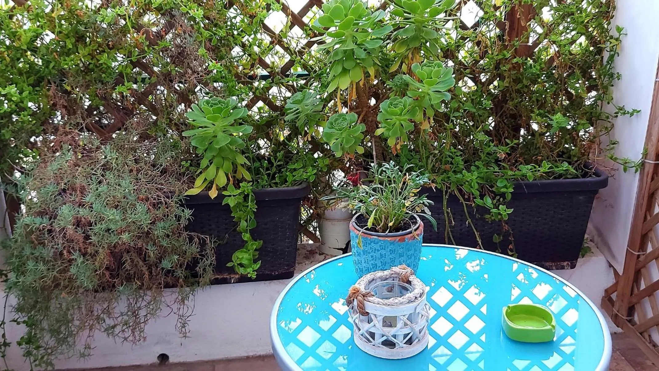 Balcony/Terrace in Attico Barocco