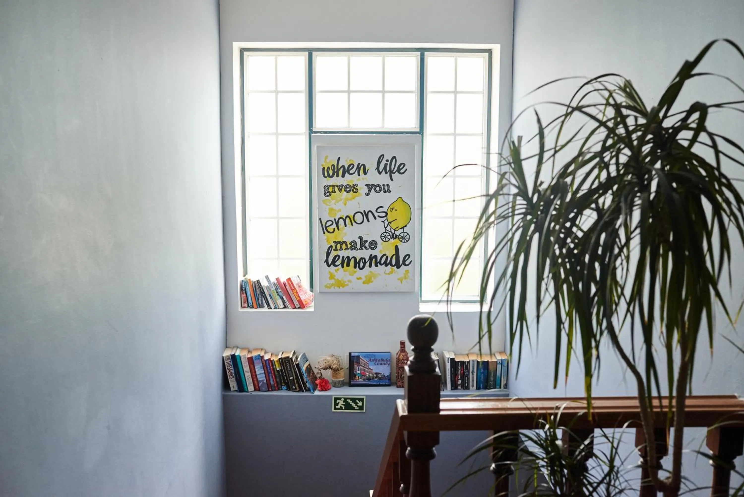 Library in Eco Ljmonade Hostel