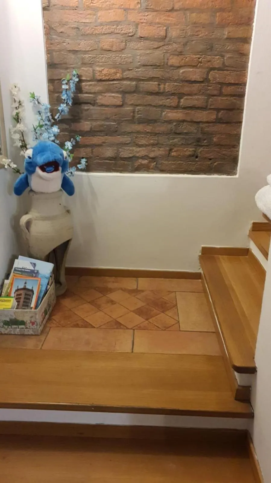 Il Delfino a Bologna