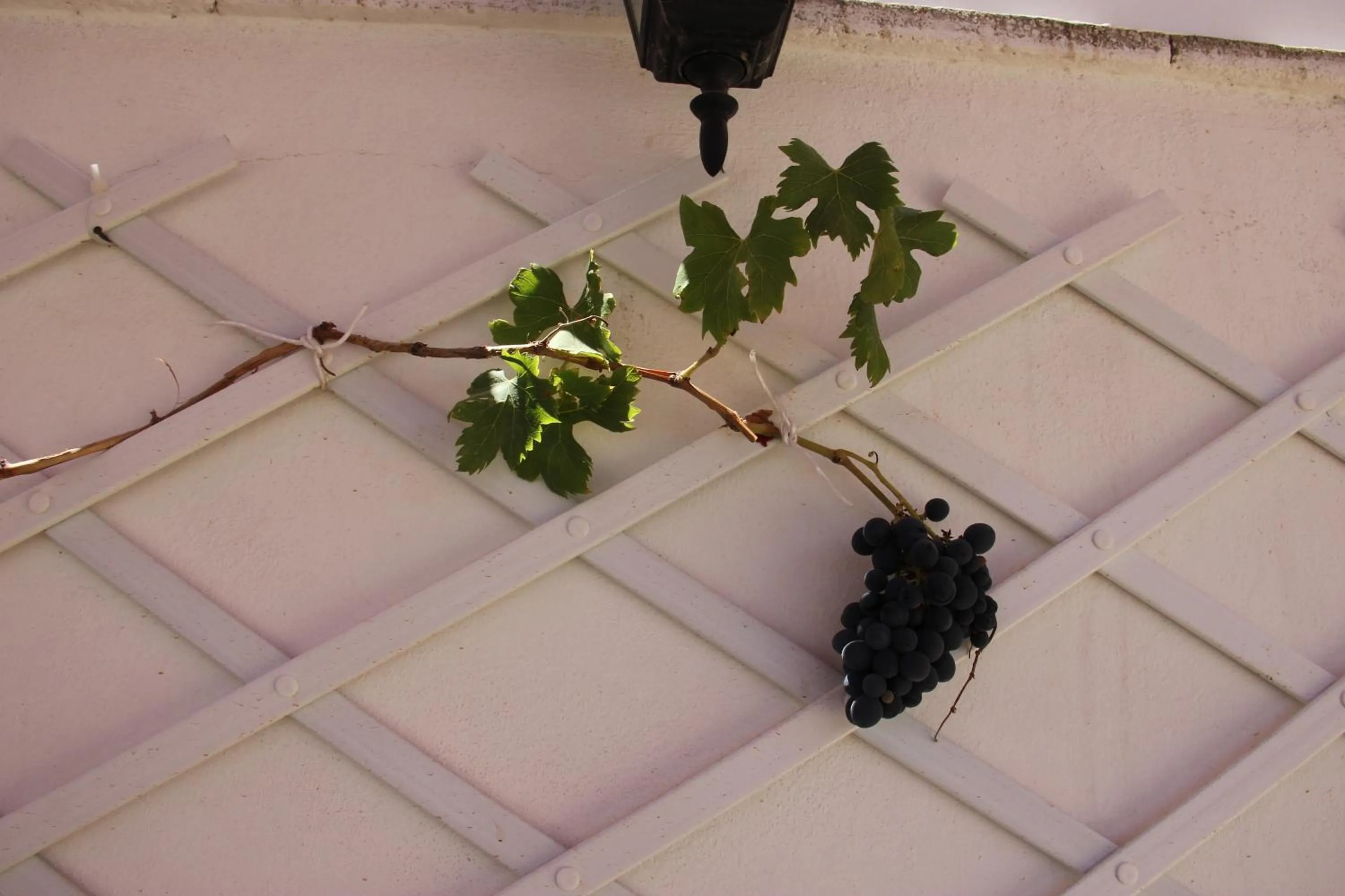 Balcony/Terrace in B&B Albergo Sicilia