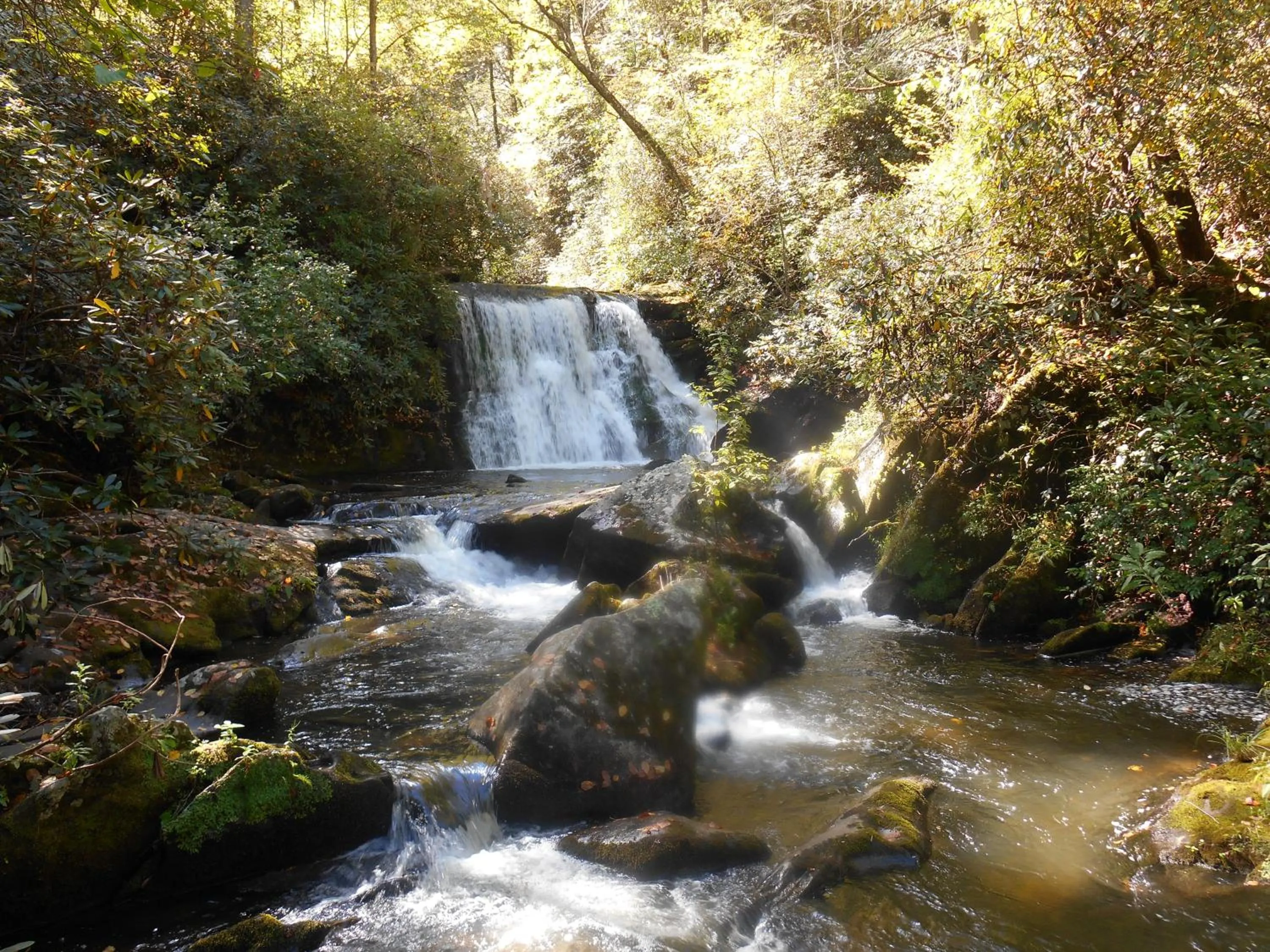 Off site in The Owl's Perch