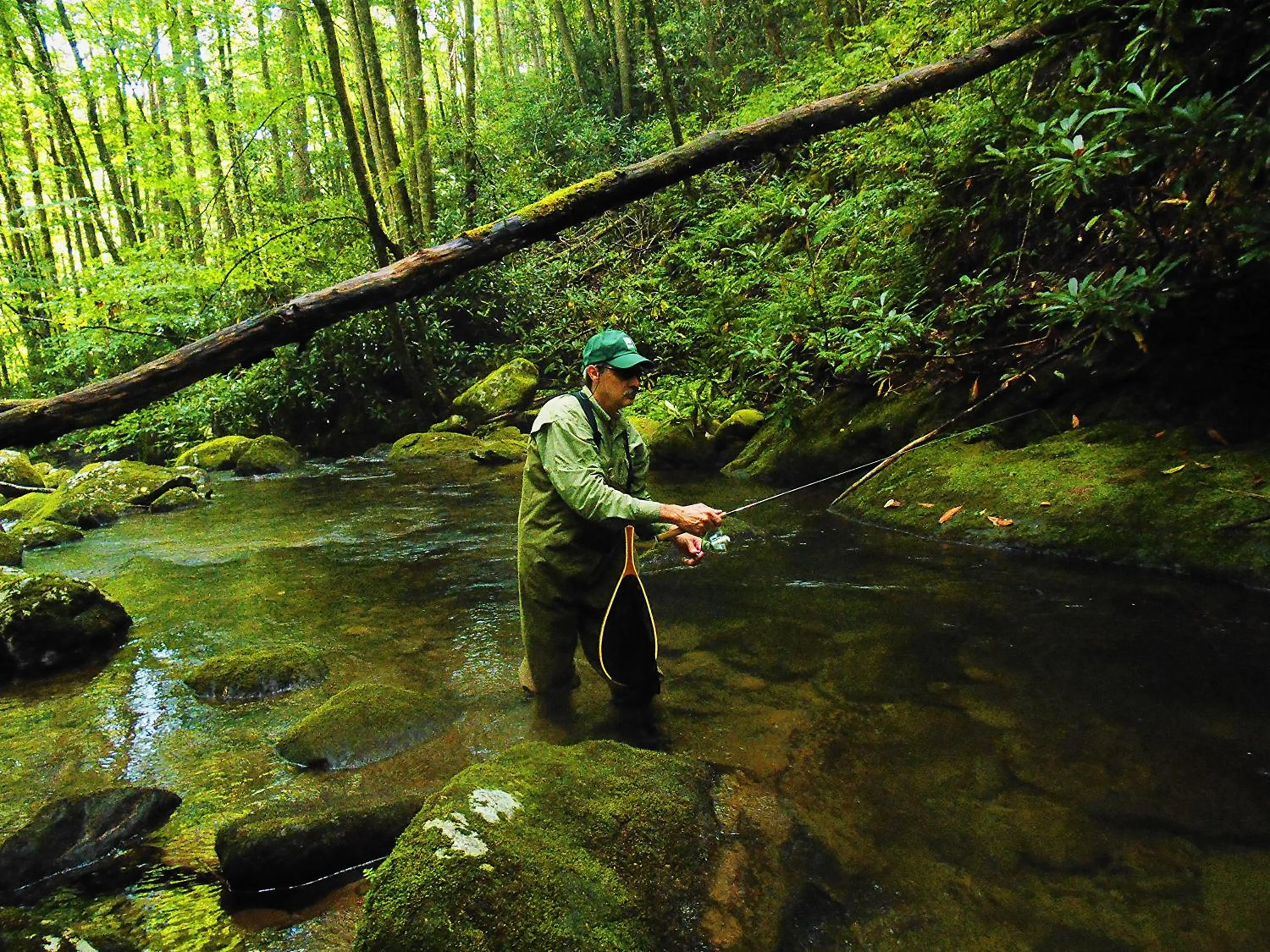 Fishing in The Owl's Perch