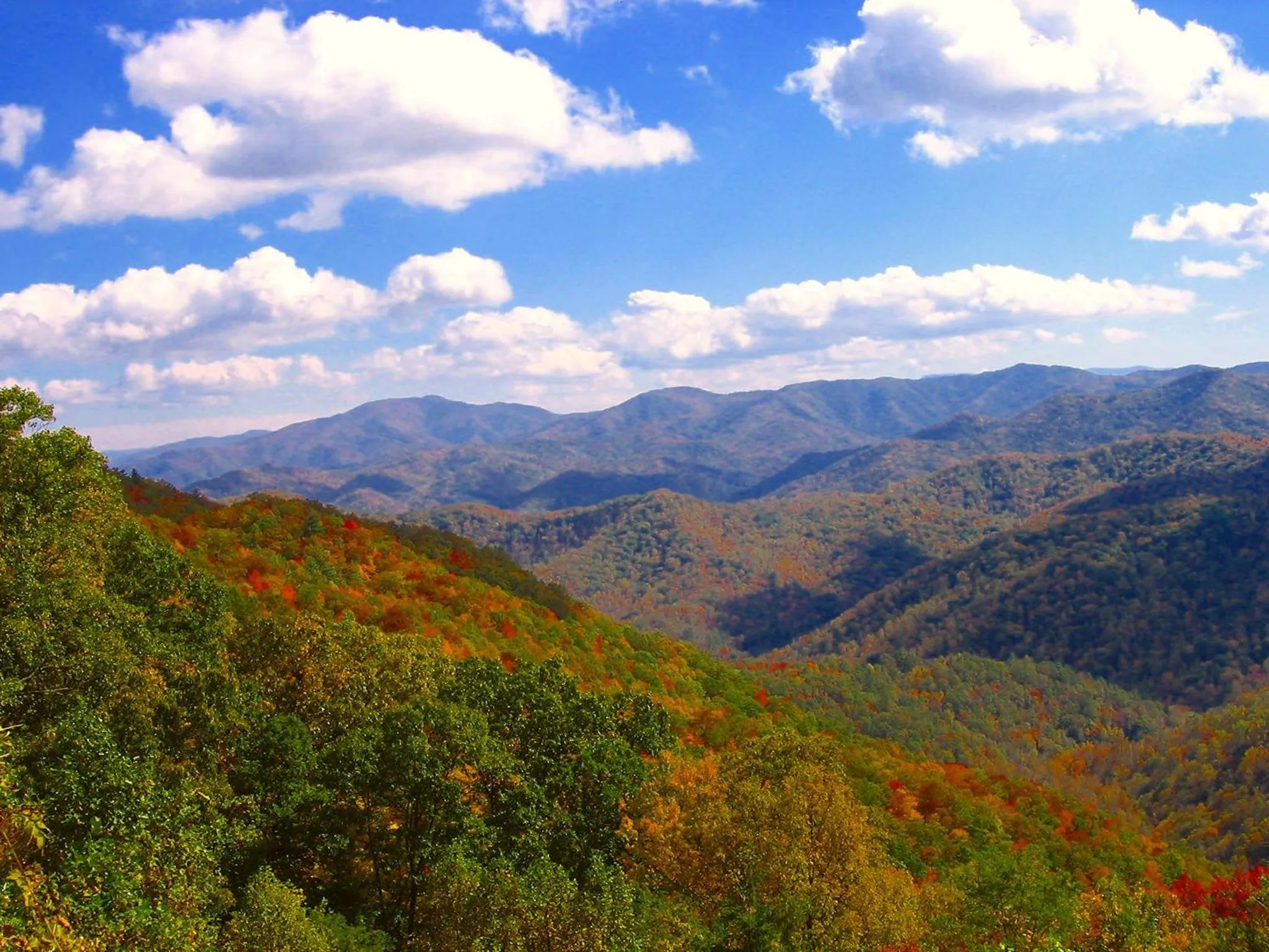 Nearby landmark in The Owl's Perch