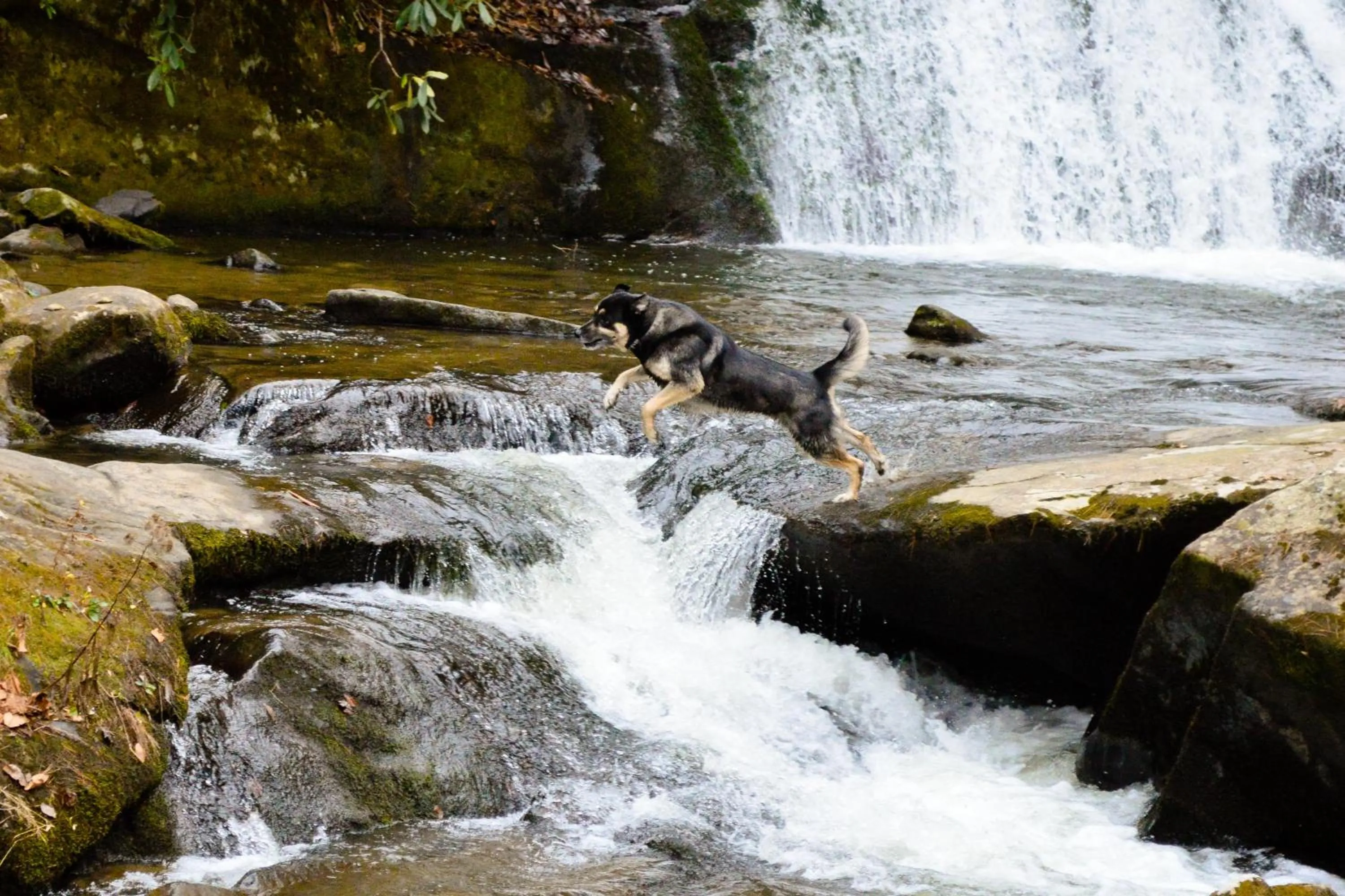 Nearby landmark in The Owl's Perch